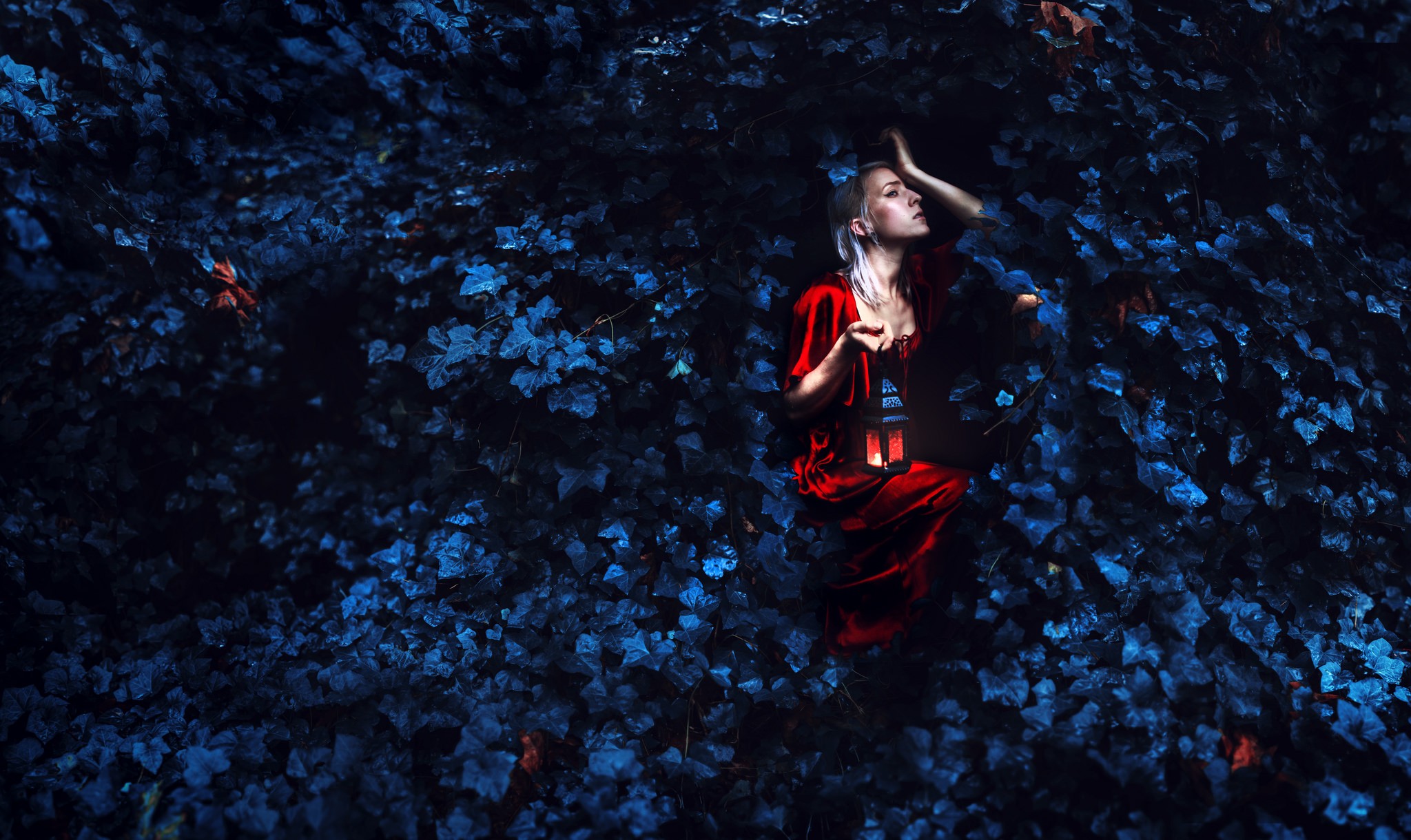 桌面上的壁纸树叶 女性 晚上