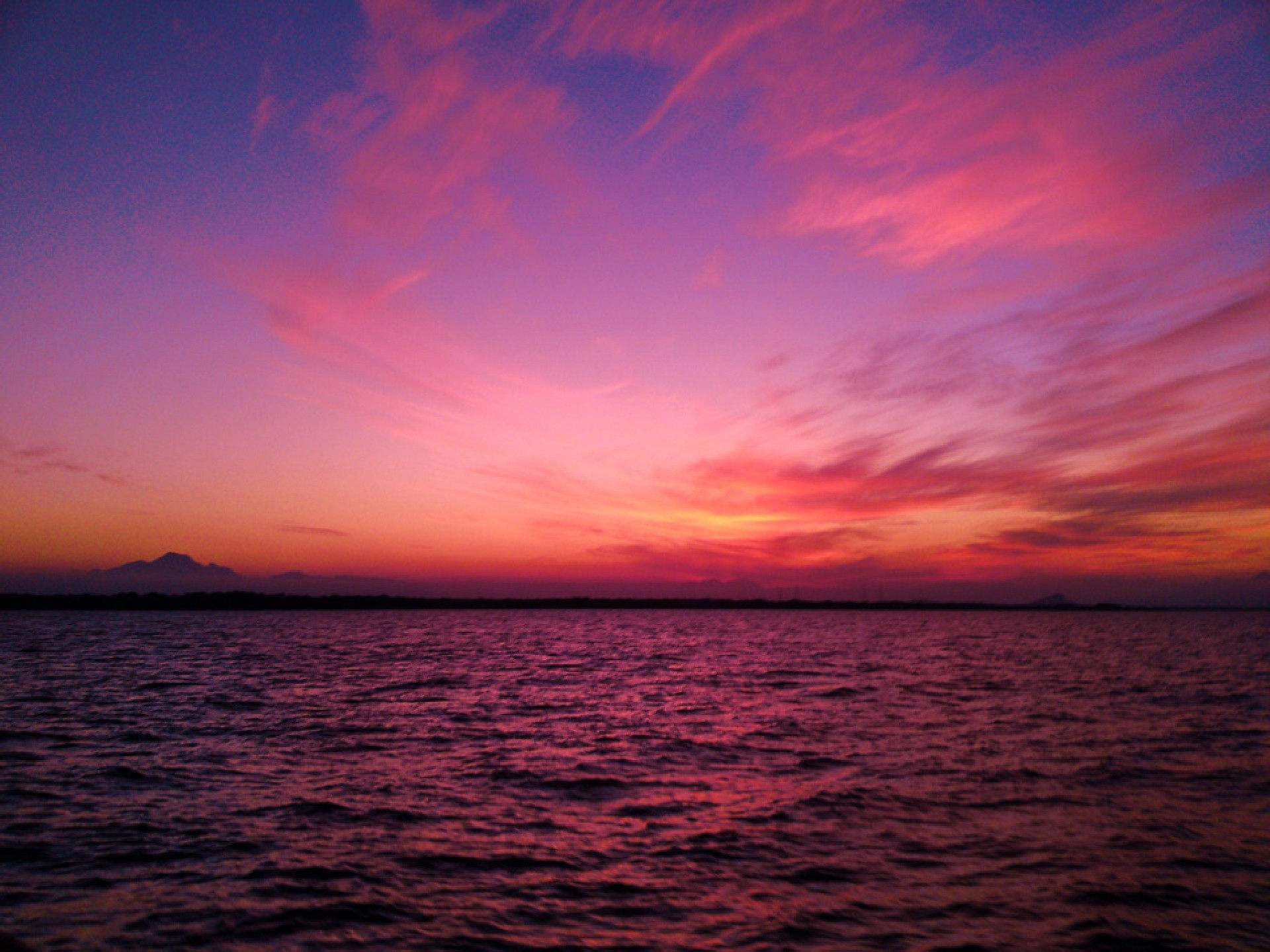 Мечта опакарофила