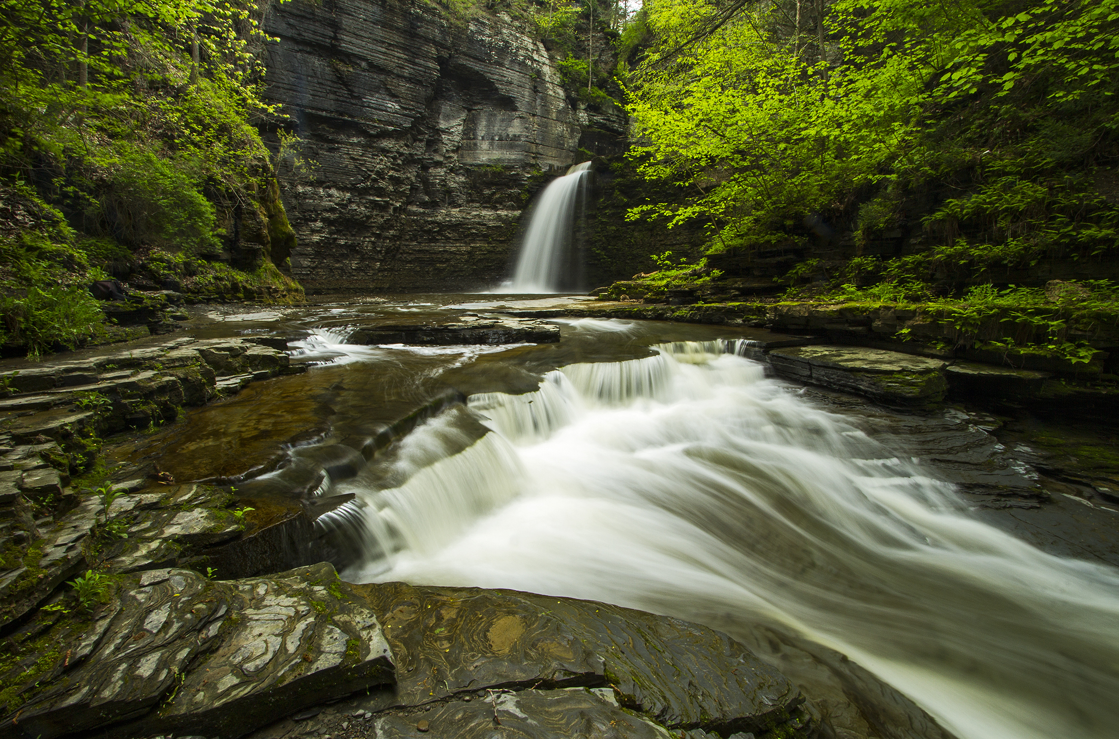 Free photo A waterfall and stream