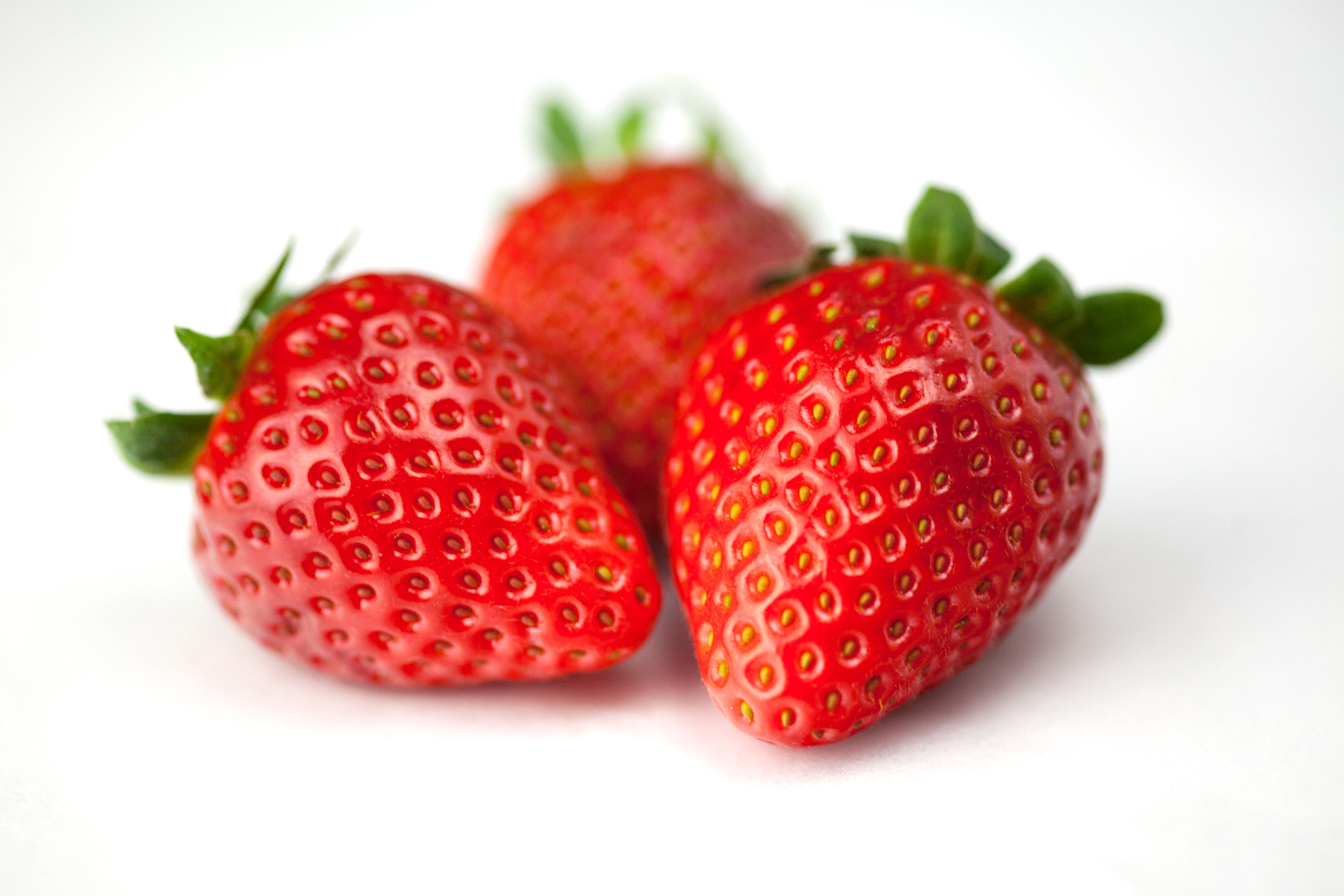 白底红草莓
