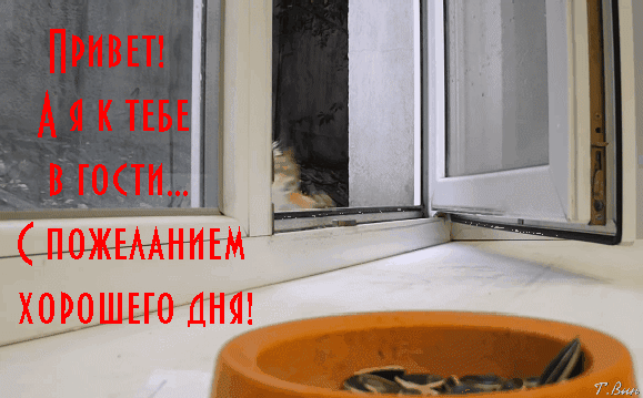 Открытка на тему утро хорошего дня пожелание скачать бесплатно