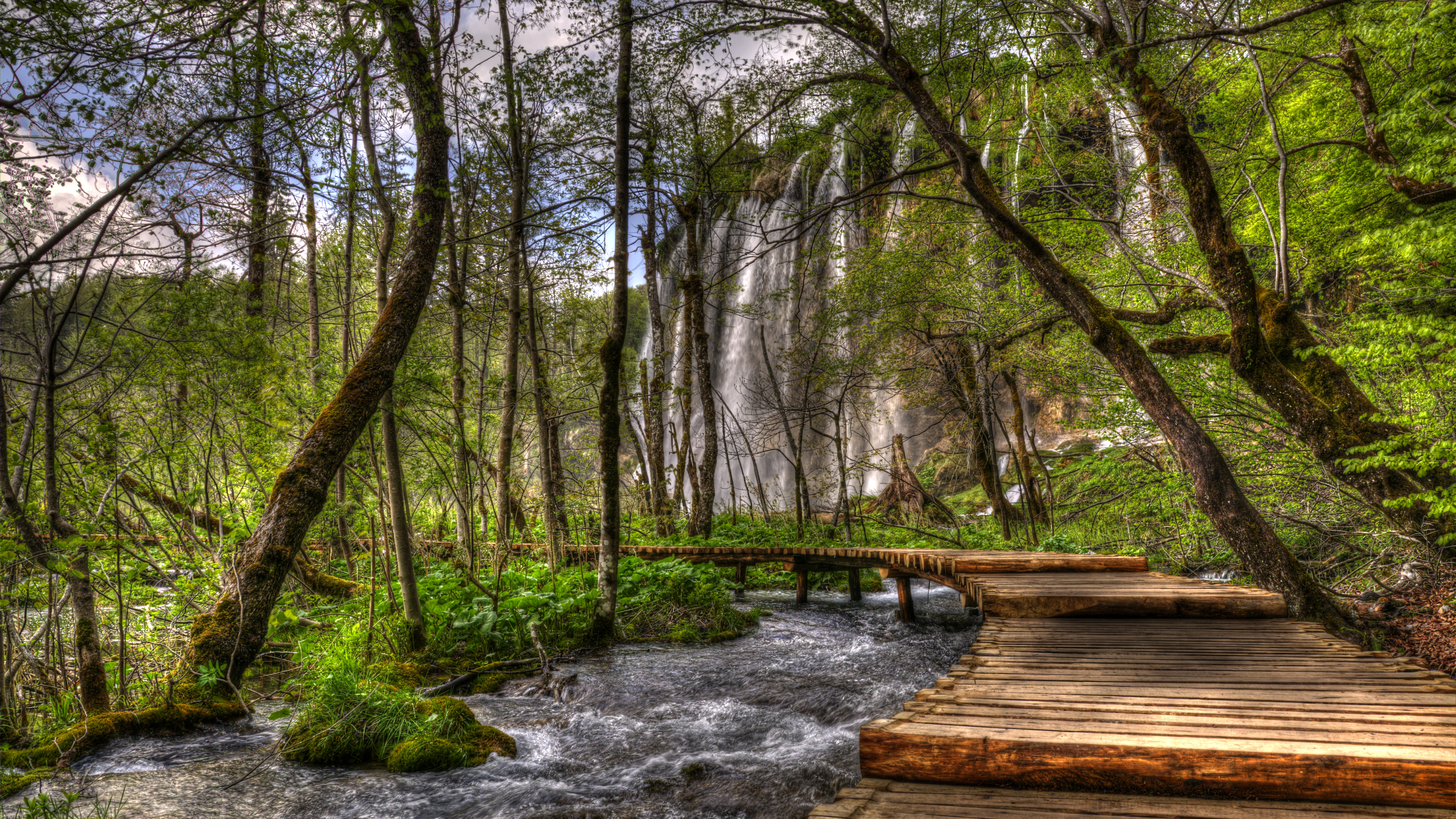 Wallpapers Croatia landscape trees on the desktop