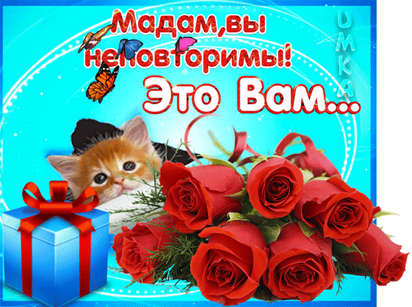 主题为配对 花束 馈赠的明信片免费下载