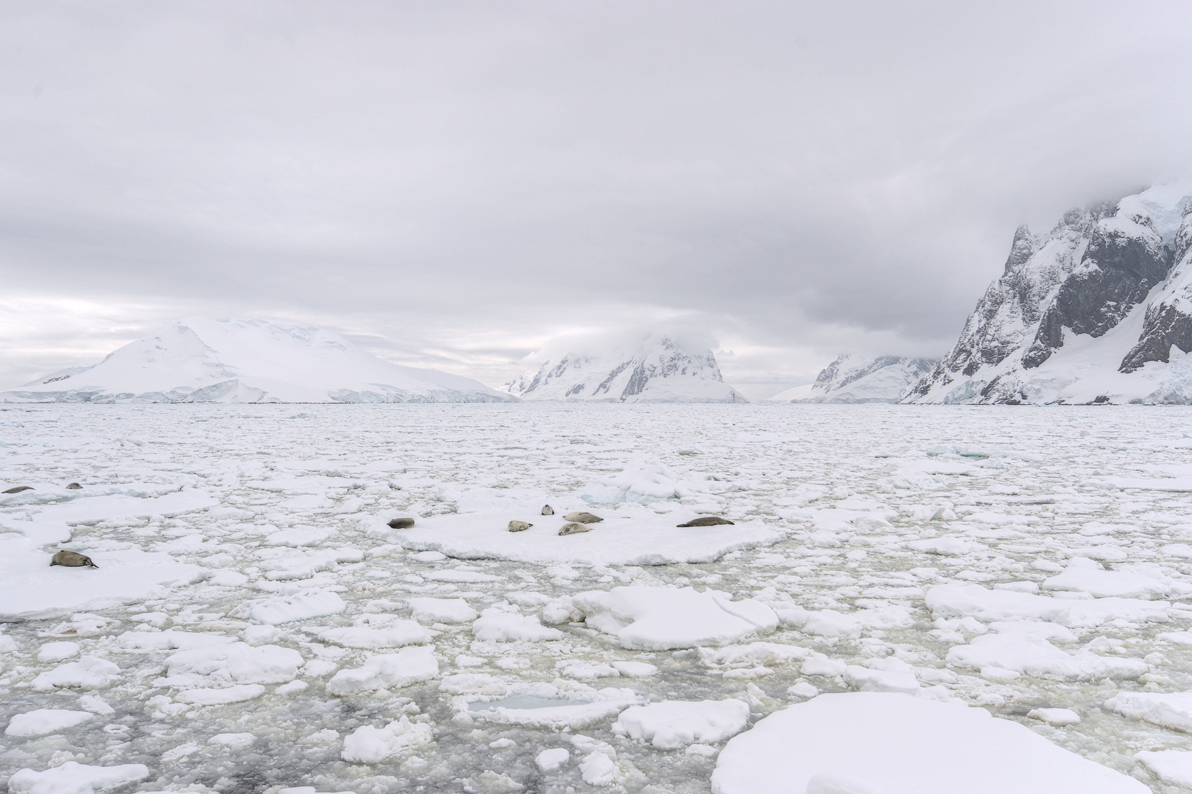 Free photo Frozen lake in the mountains