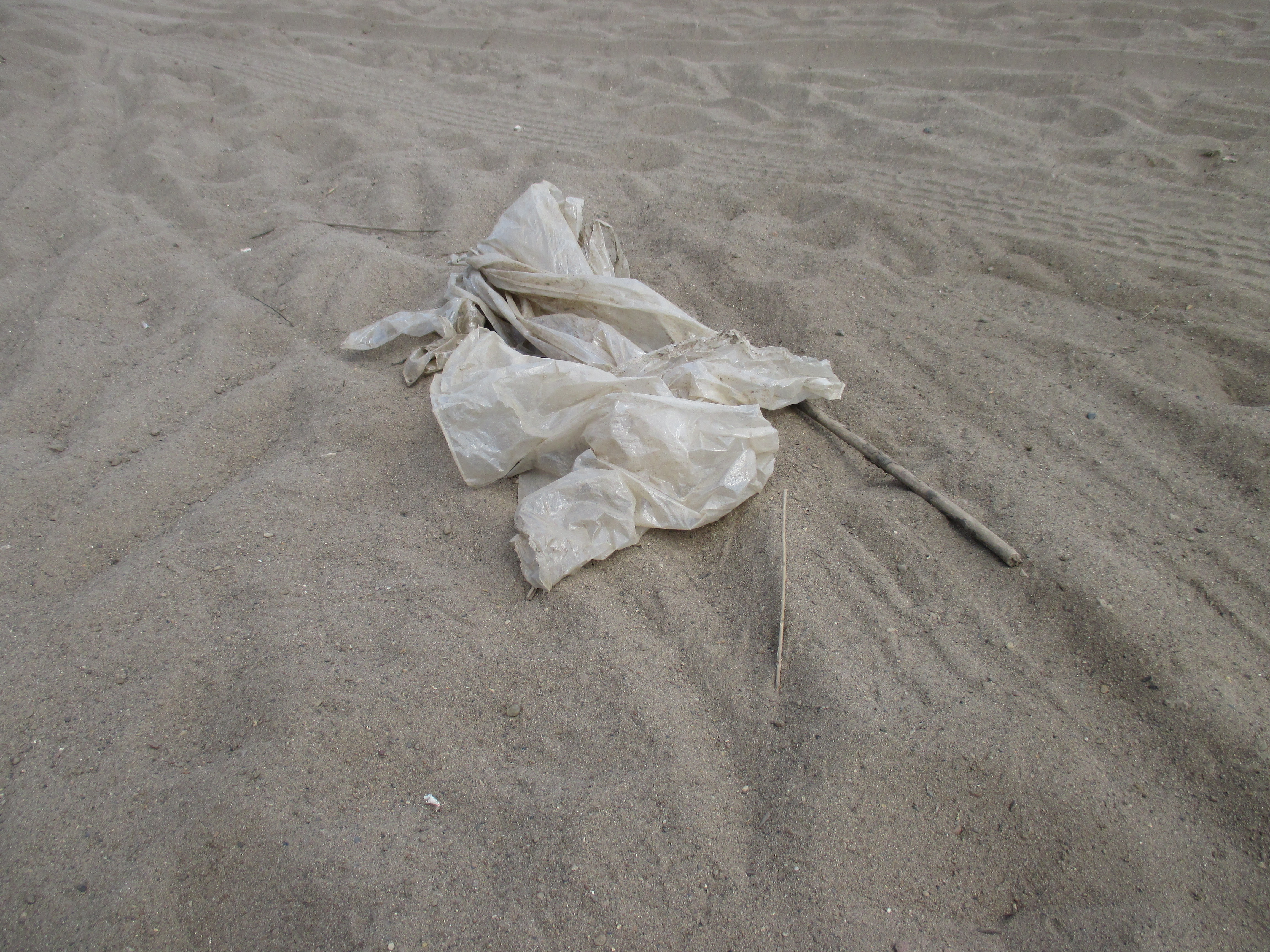 Бесплатное фото Полиэтилен на пляже