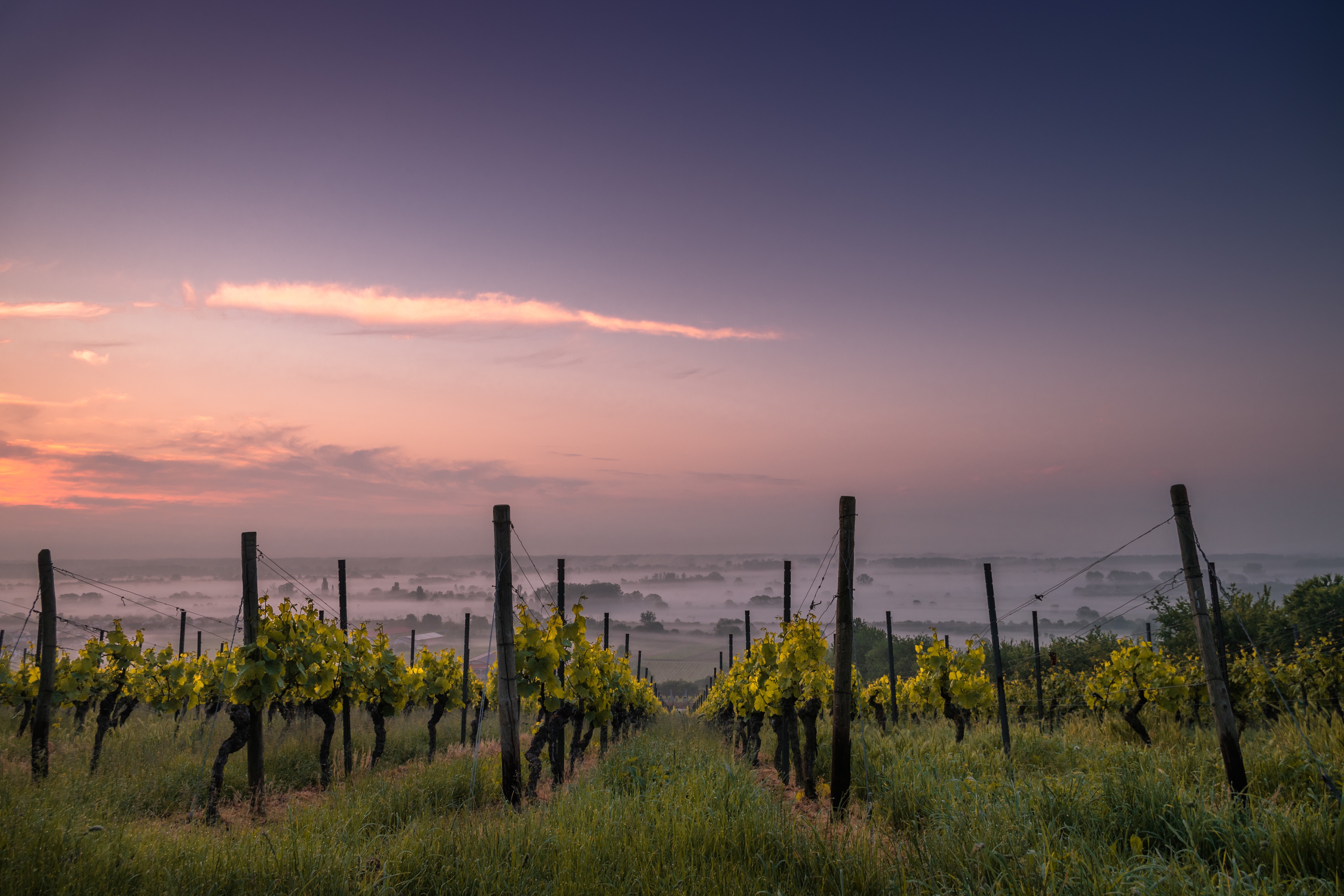 Wallpapers rural areas sun light horizon on the desktop