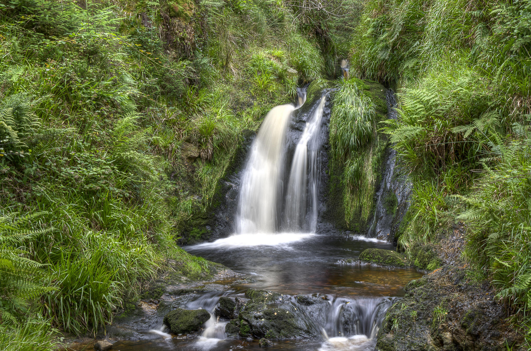 Wallpapers Gortin forest Park Co Tyrone Northern Ireland on the desktop