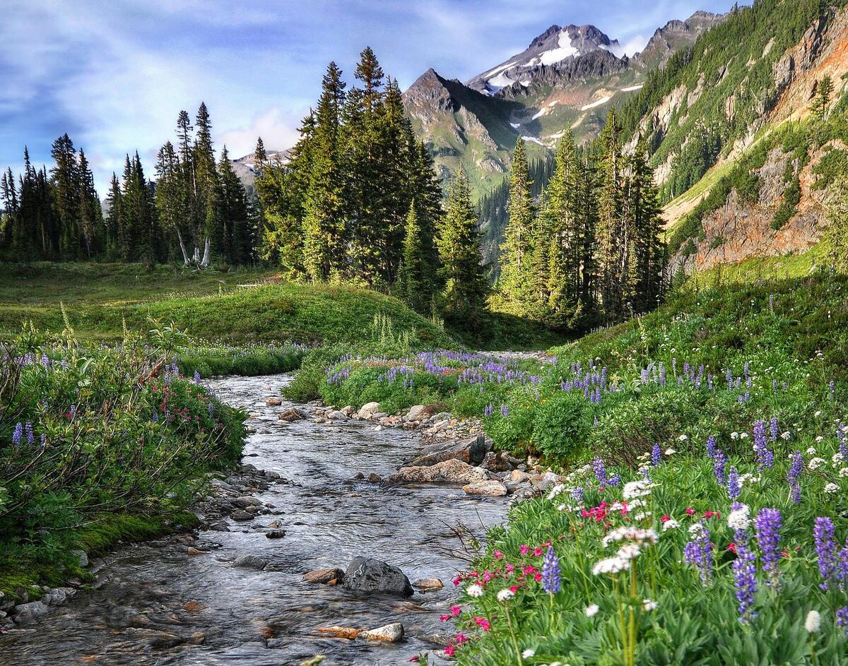 Картины и панно Зубр с рисунком на фоне пейзажа - купить по низкой цене на Яндек