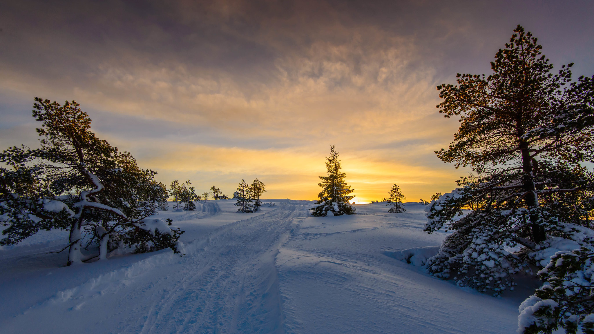 夕阳，冬天，挪威的桌面壁纸是免费的