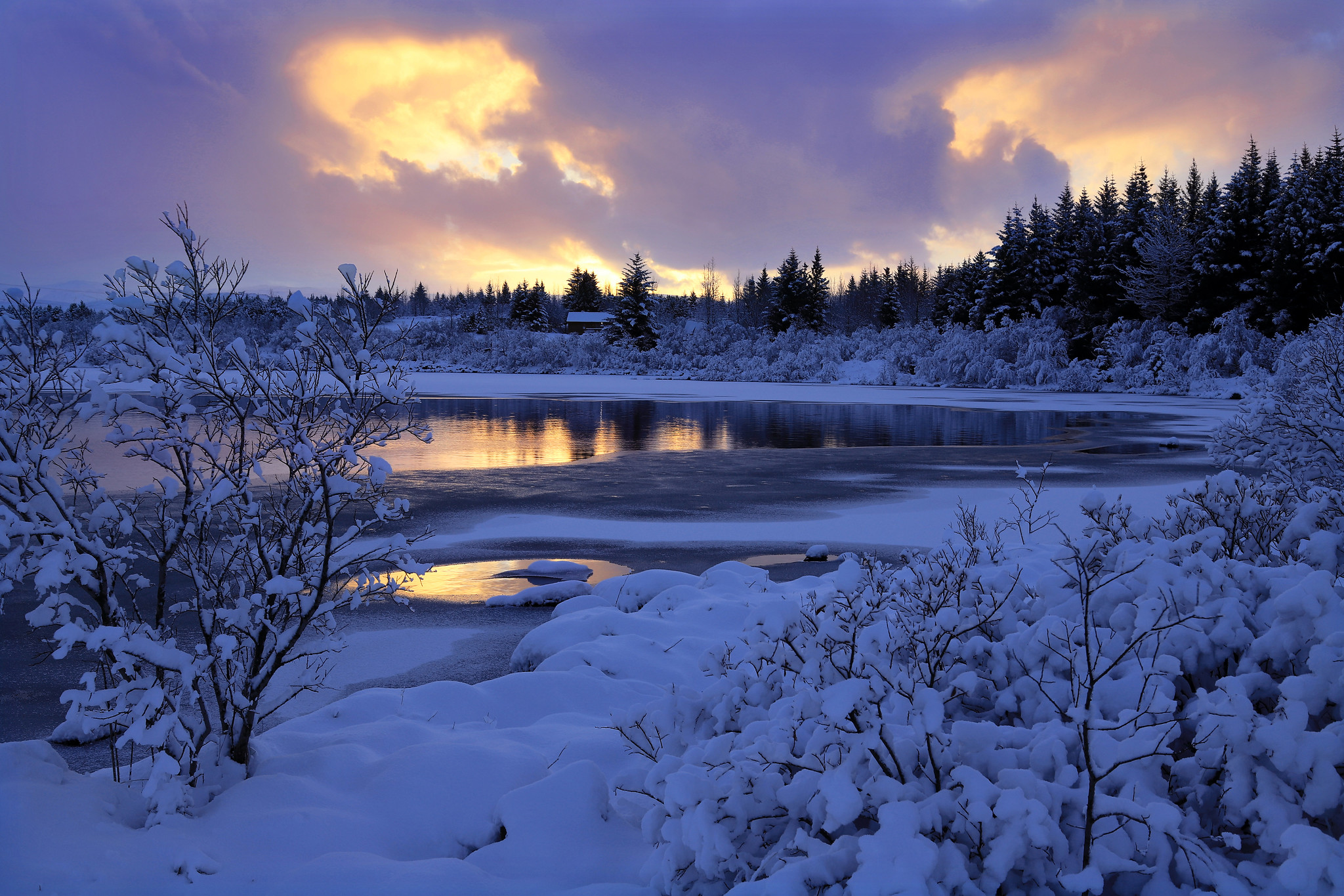 Wallpapers landscape frozen lake forest on the desktop