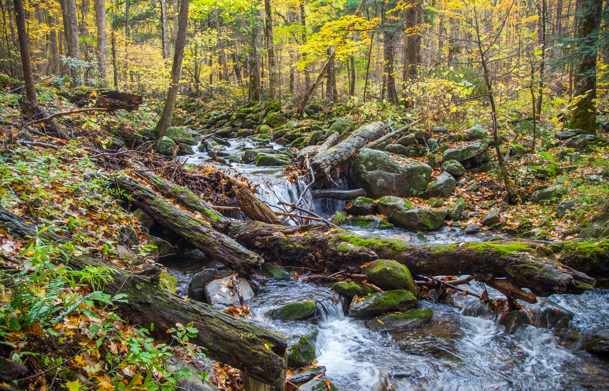 Wallpapers landscapes landscape waterfall in the forest on the desktop