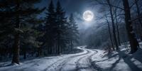 Ночная сцена, изображающая заснеженную дорогу с деревьями по обеим сторонам