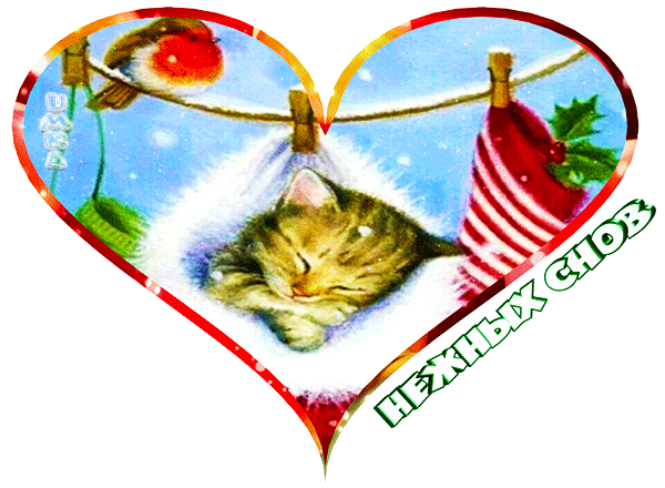 主题为梦见 心猫 猫咪的明信片免费下载