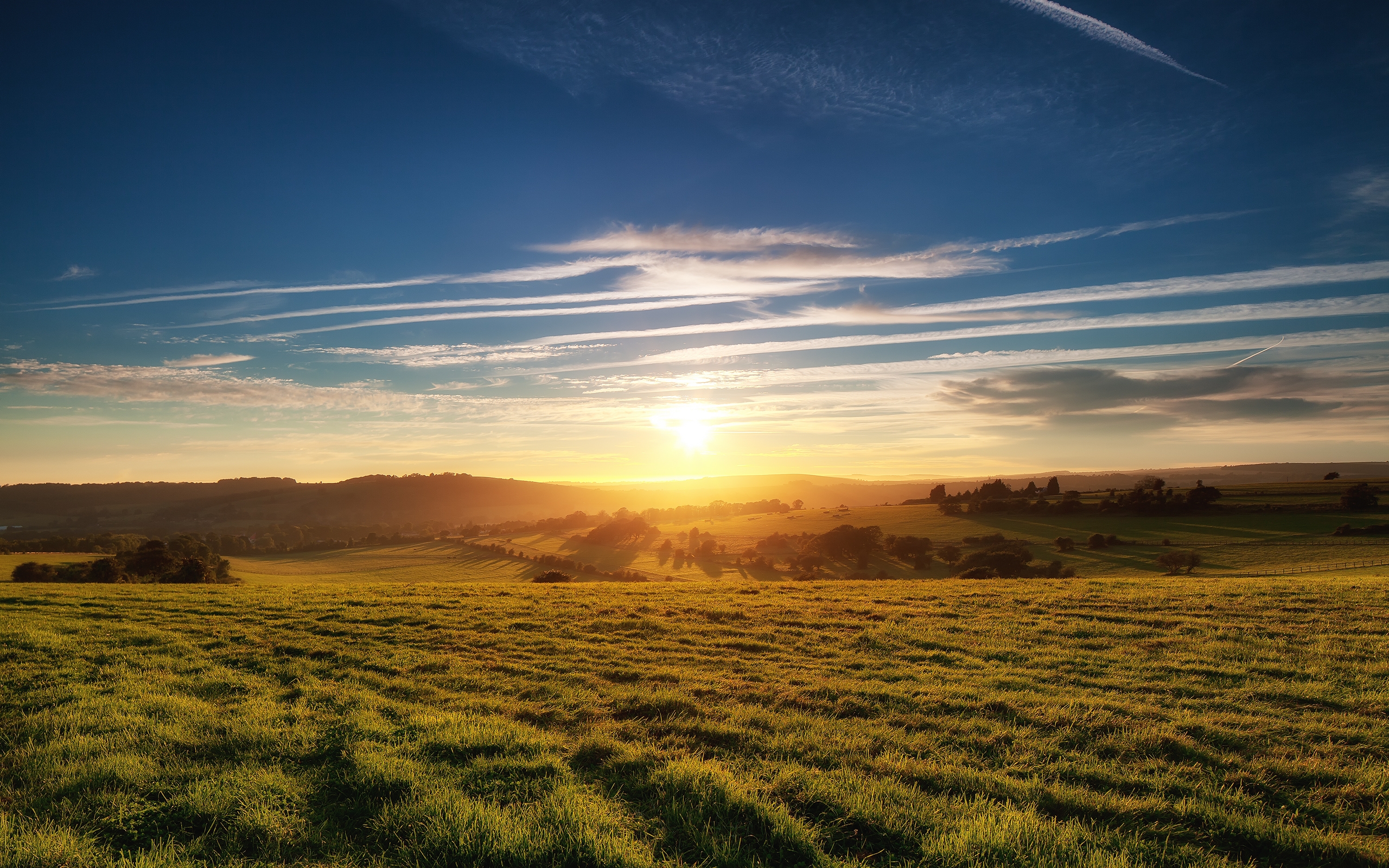 Free photo Sunny morning in a big field