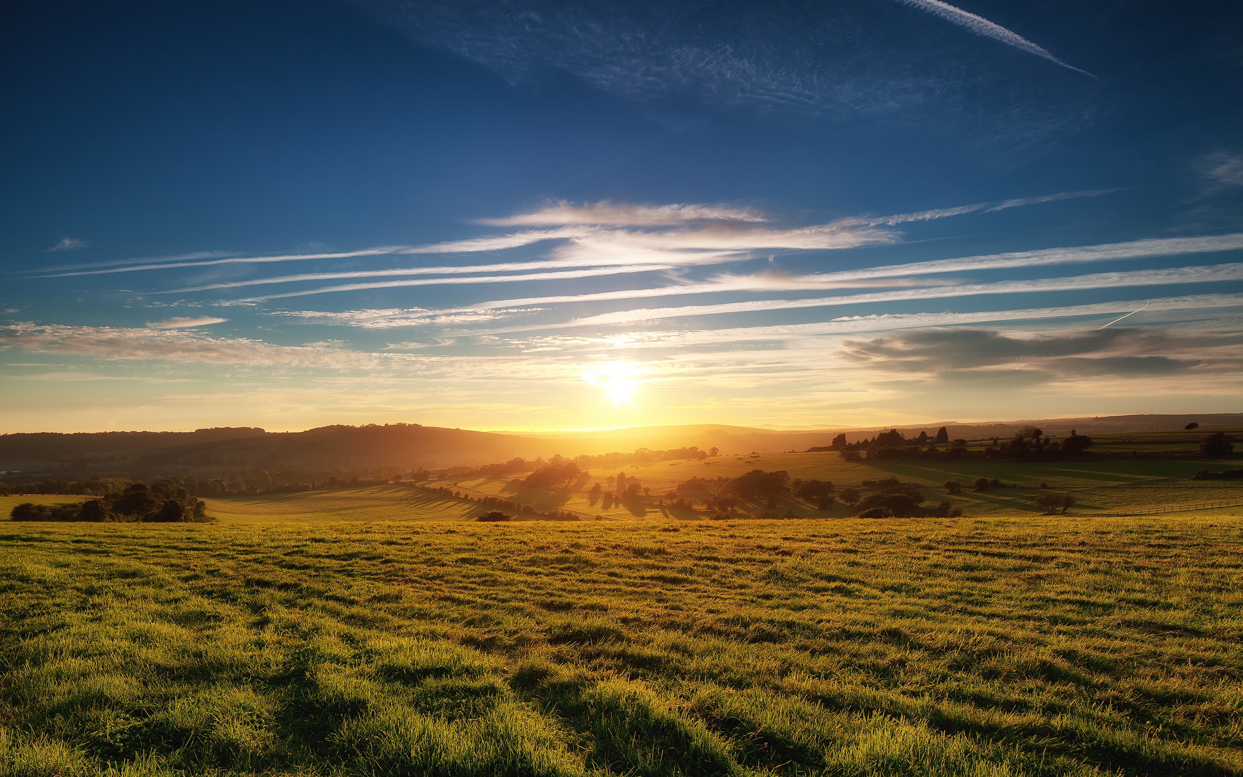 Бесплатное фото Солнечное утро на большом поле