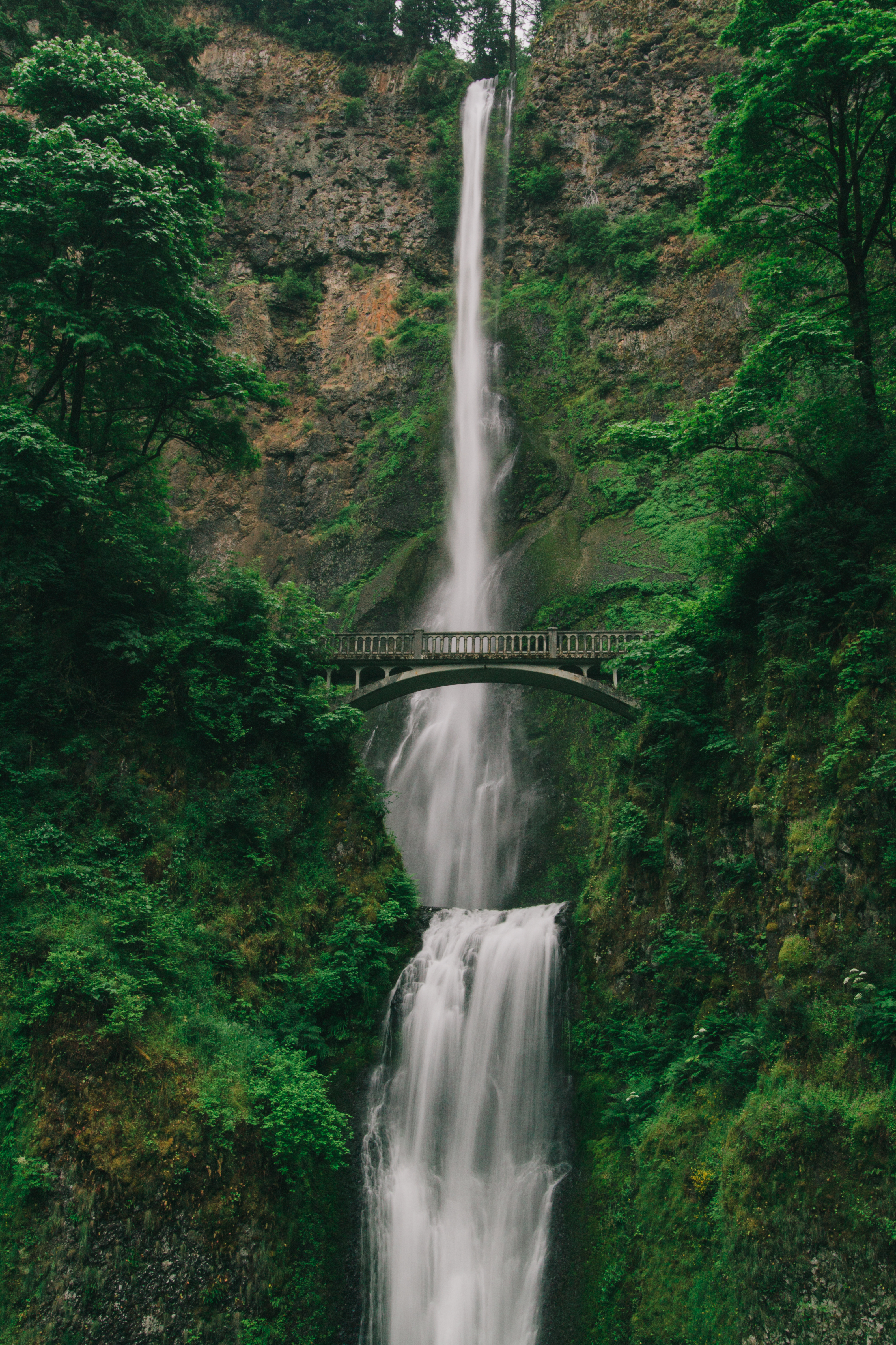 Free photo A high waterfall in the forest