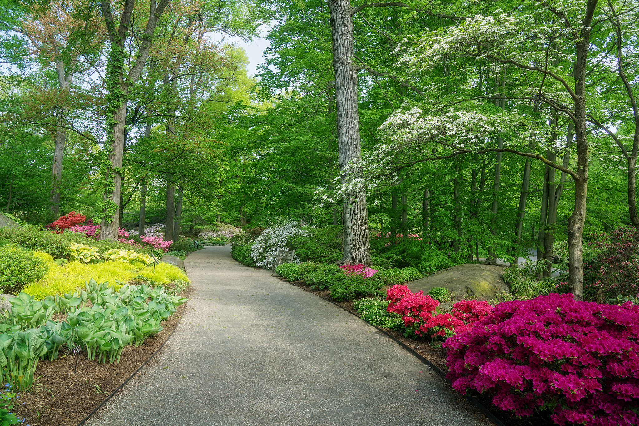 Wallpapers scenic landscape flowers on the desktop