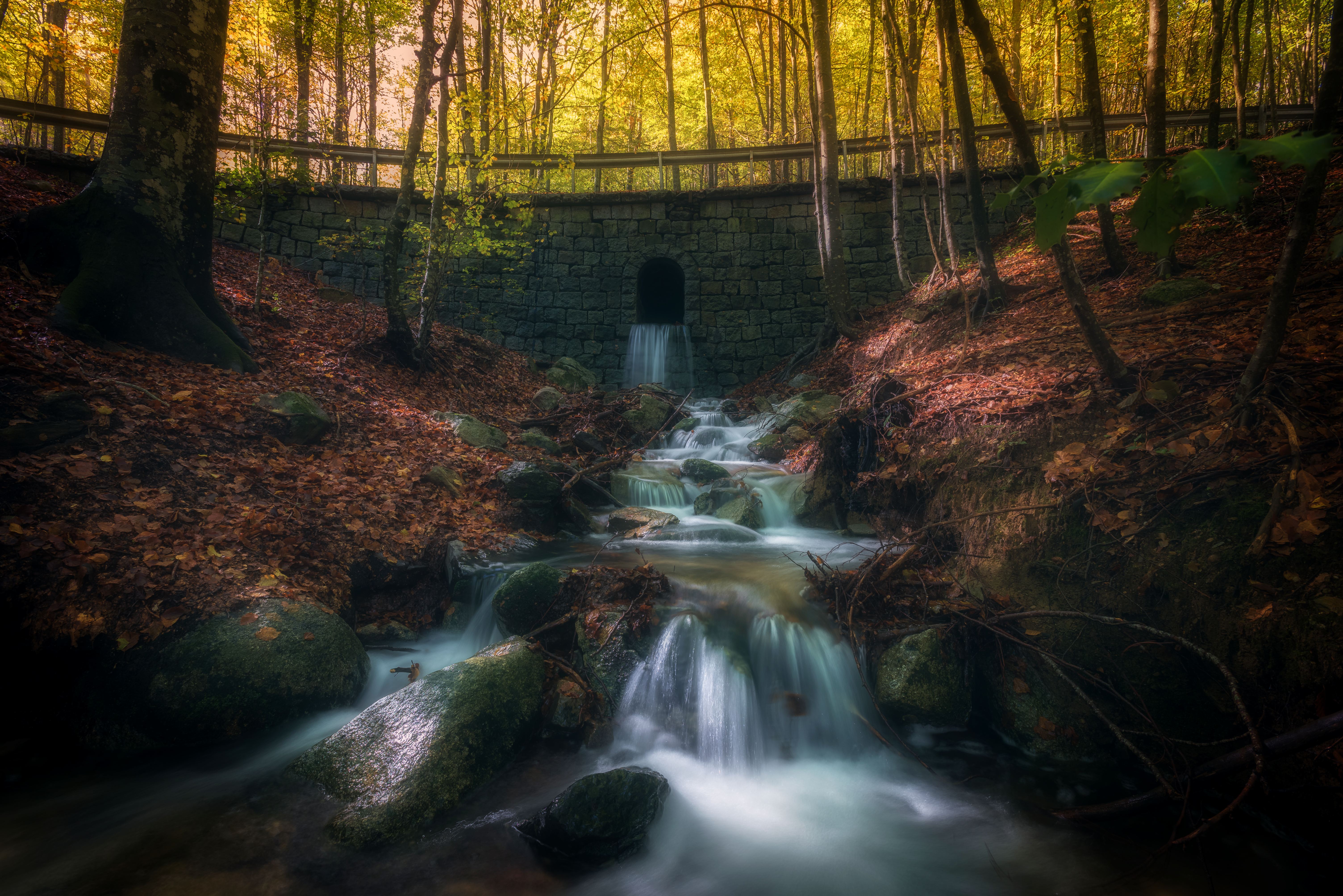 Free photo The Creek under the bridge