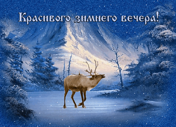 Бесплатная открытка Зимний тёмный вечер