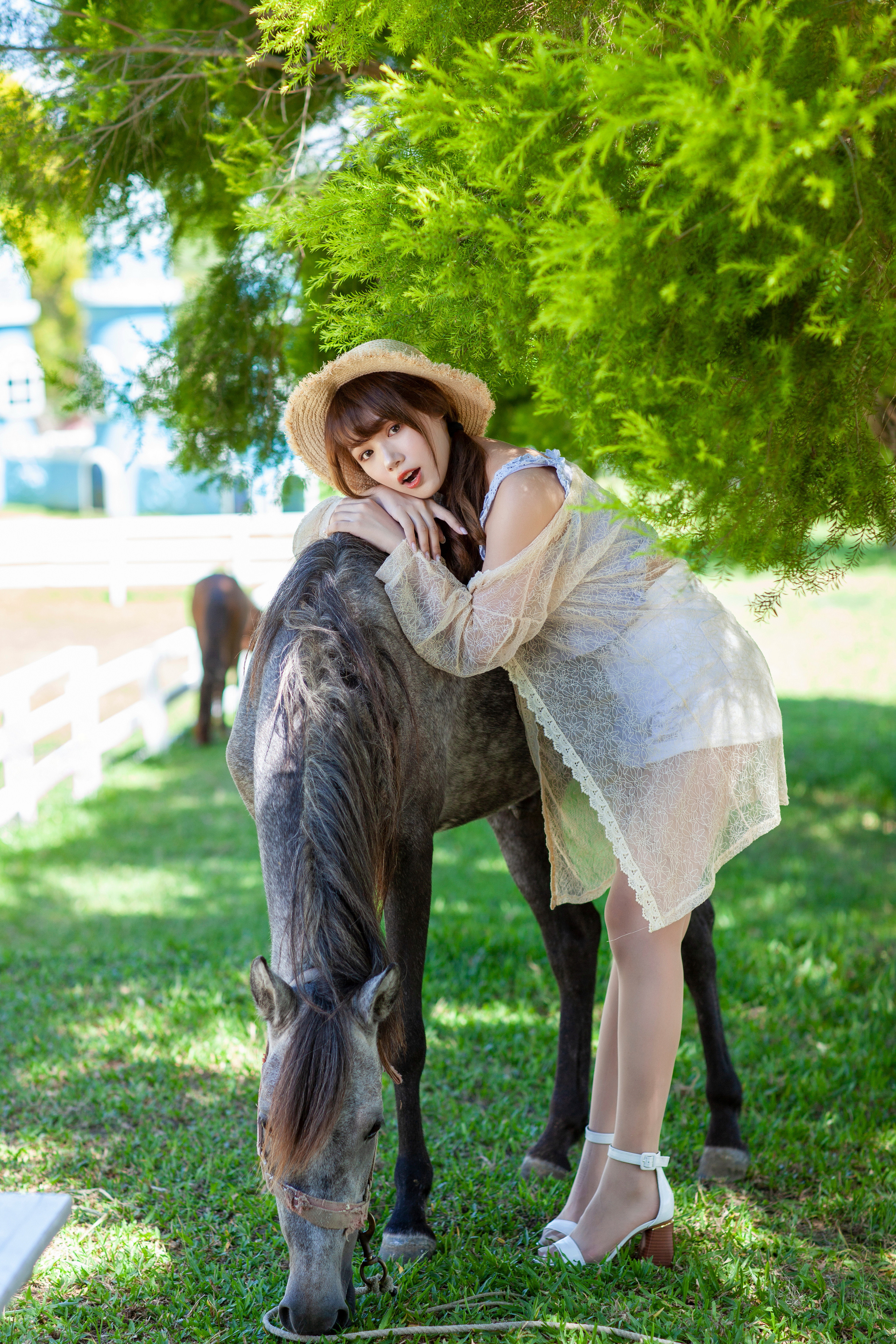 桌面上的壁纸女孩 动物 匹马