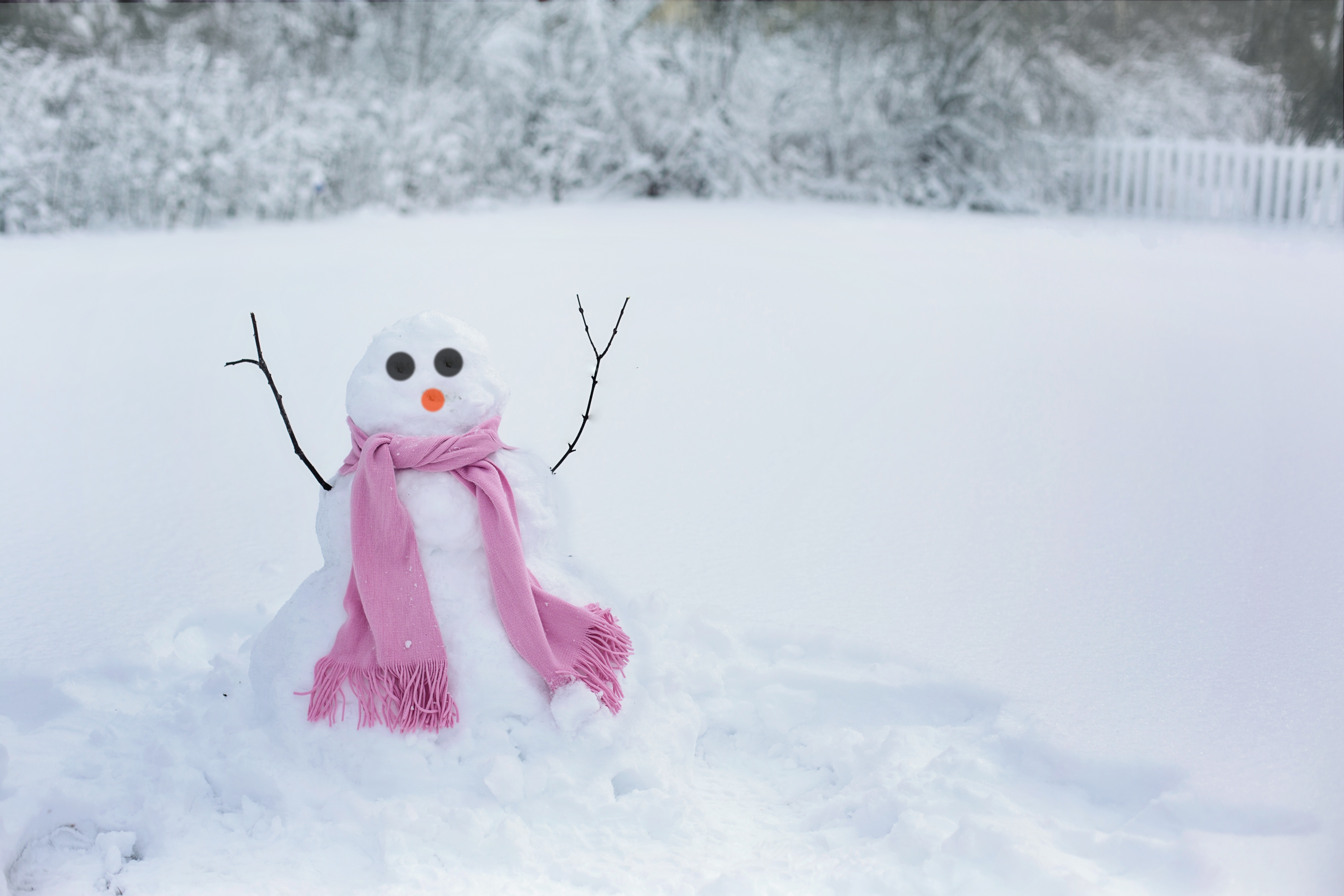 Wallpapers snow cold winter on the desktop