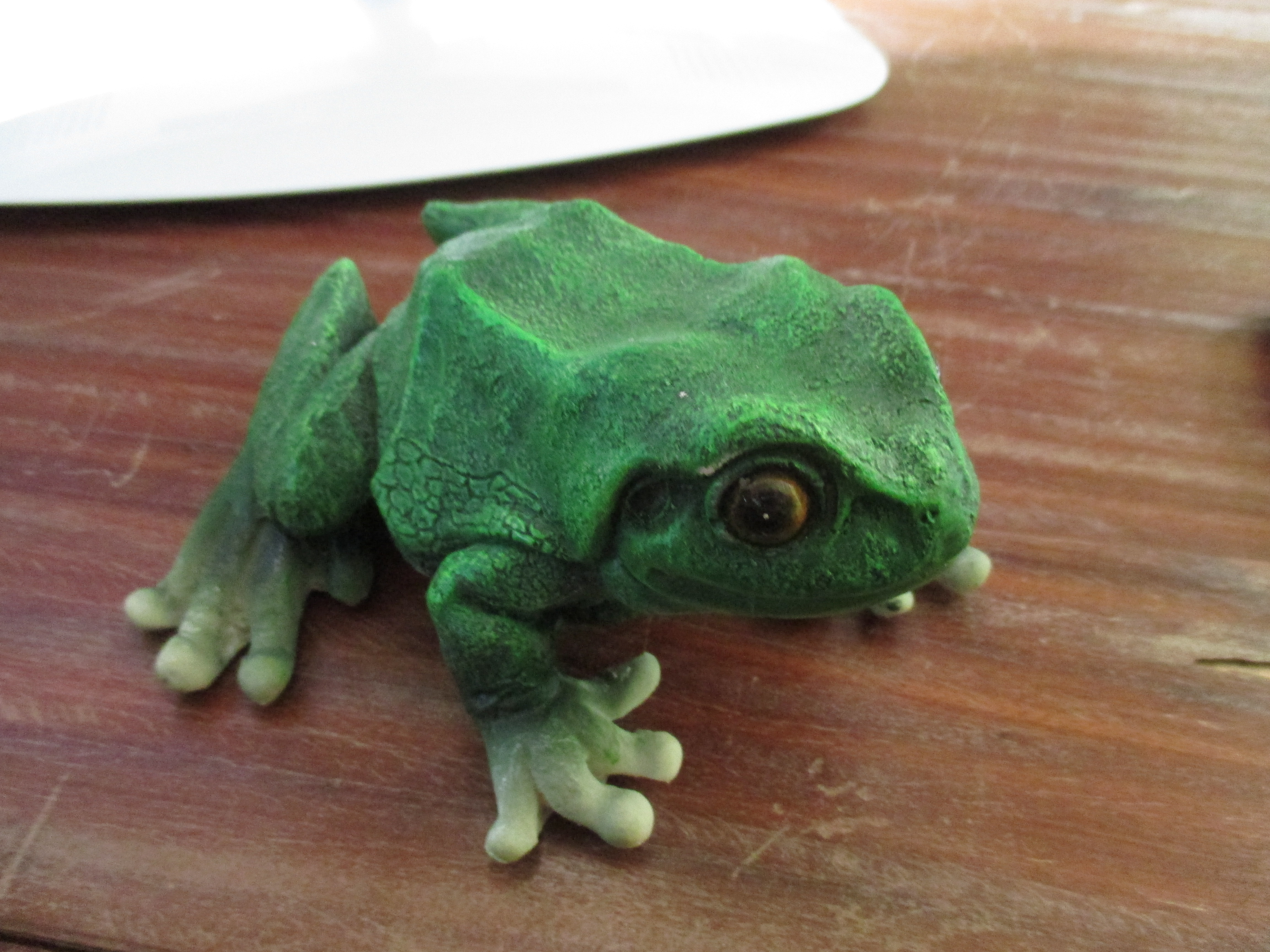 Free photo Toad on the table