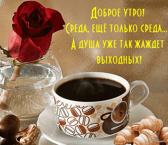 Открытка на тему среда роза текст скачать бесплатно