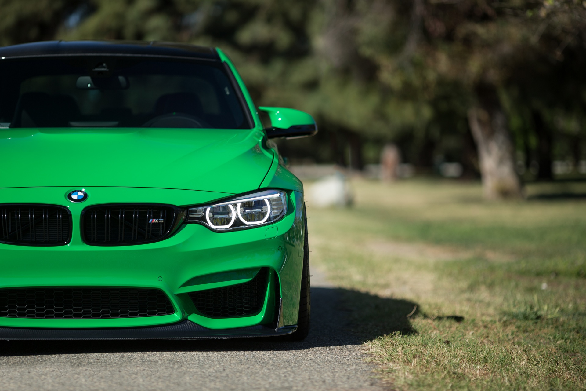 Free photo BMW 3 Series E90 in bright green