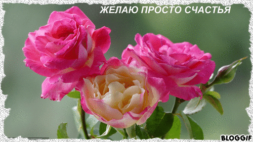 Открытка на тему букет роз желаю просто счастье цветы скачать бесплатно
