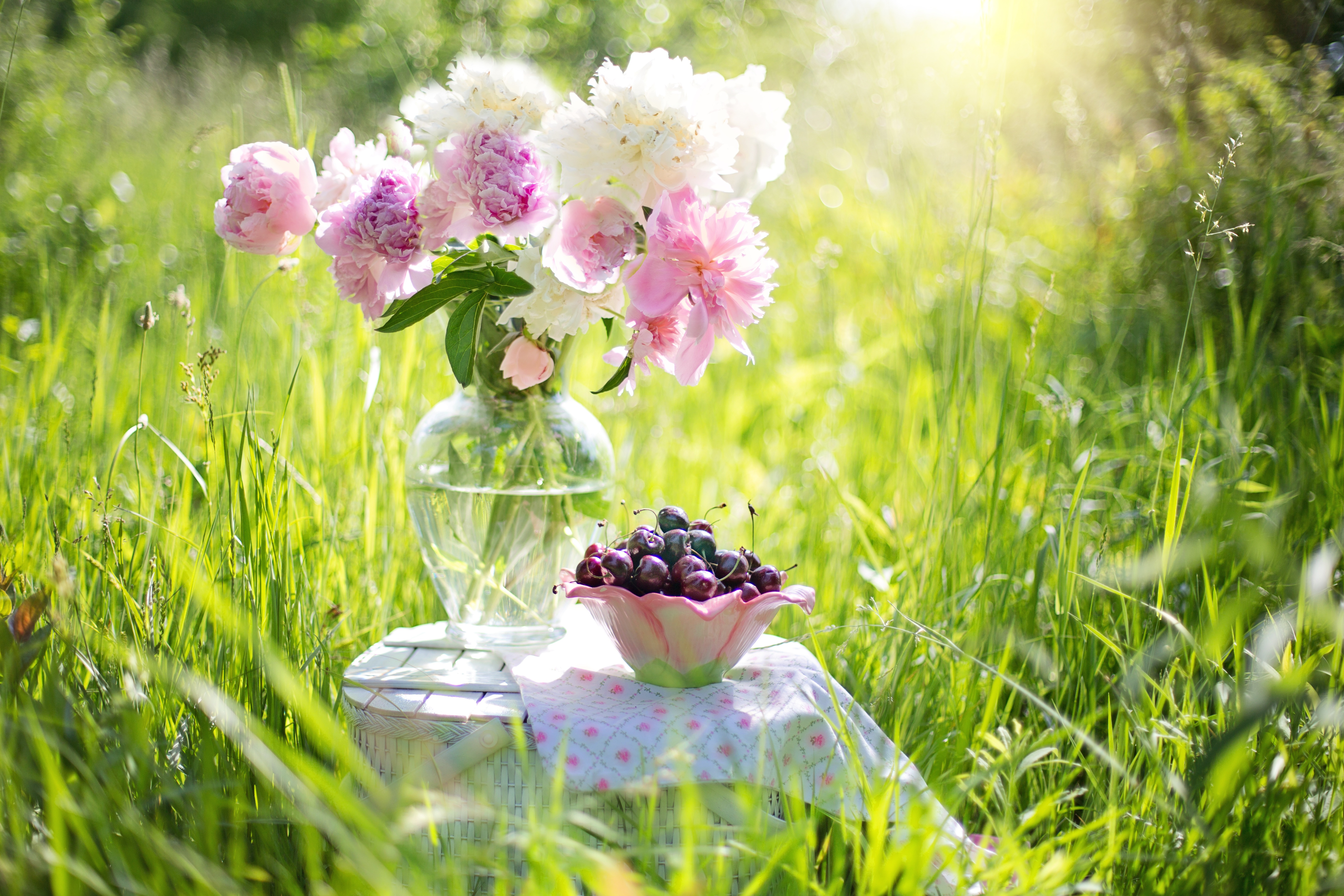 Wallpapers green summer flowers botany on the desktop