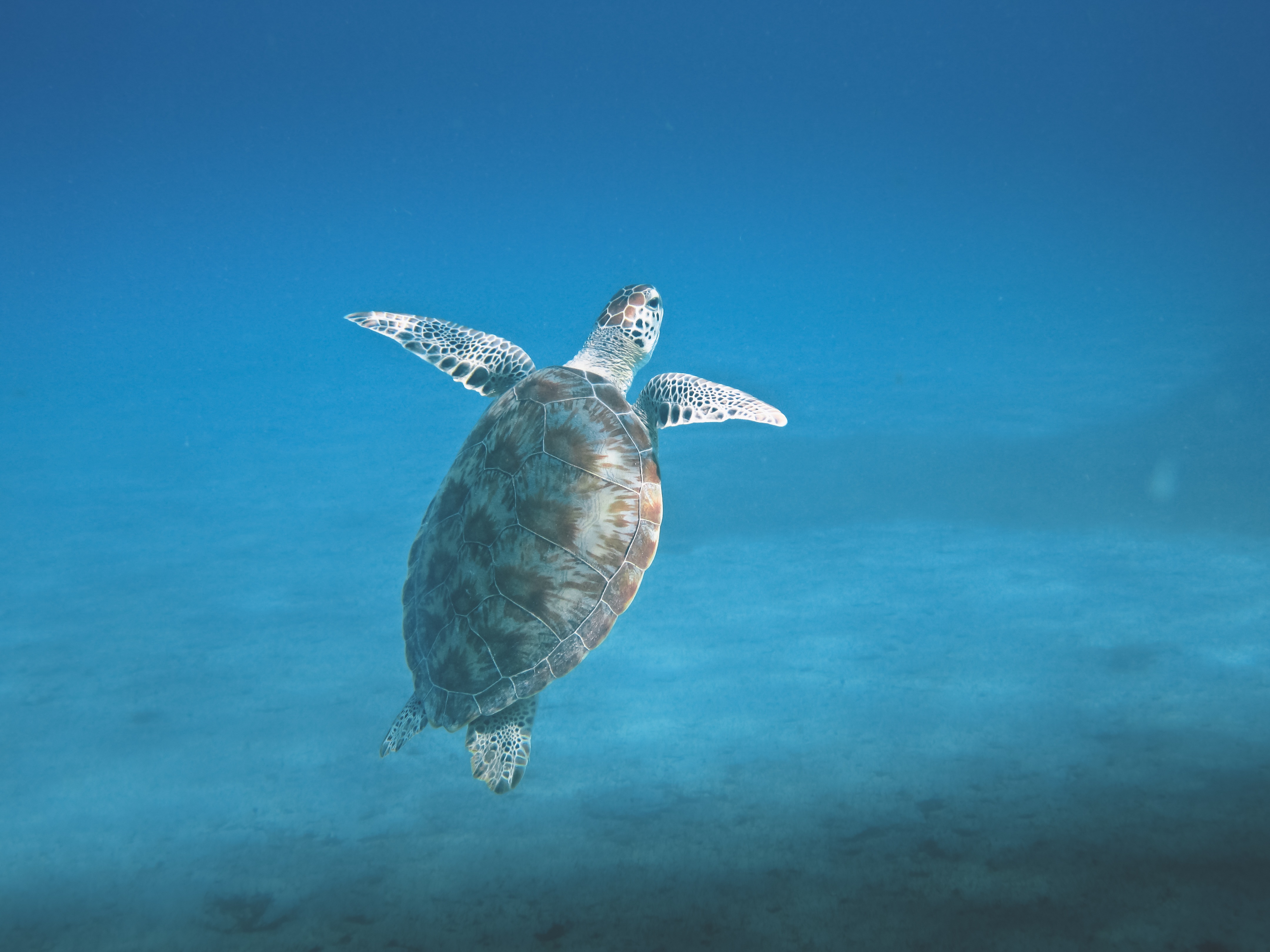 Обои море вода природа на рабочий стол