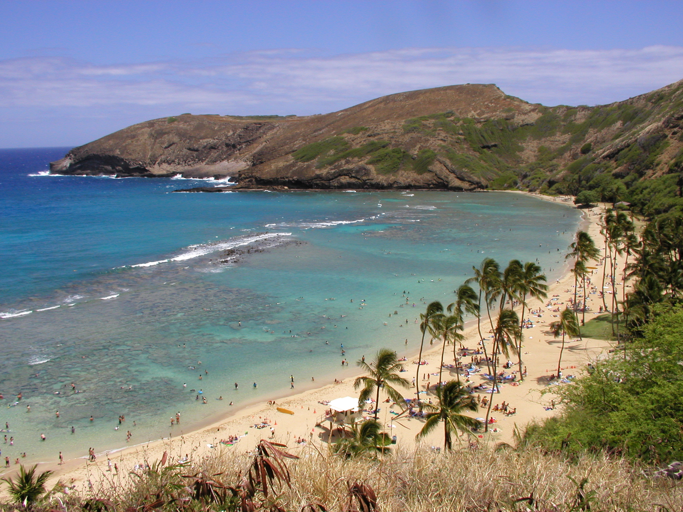 Free photo A sandy shore in Hawaii