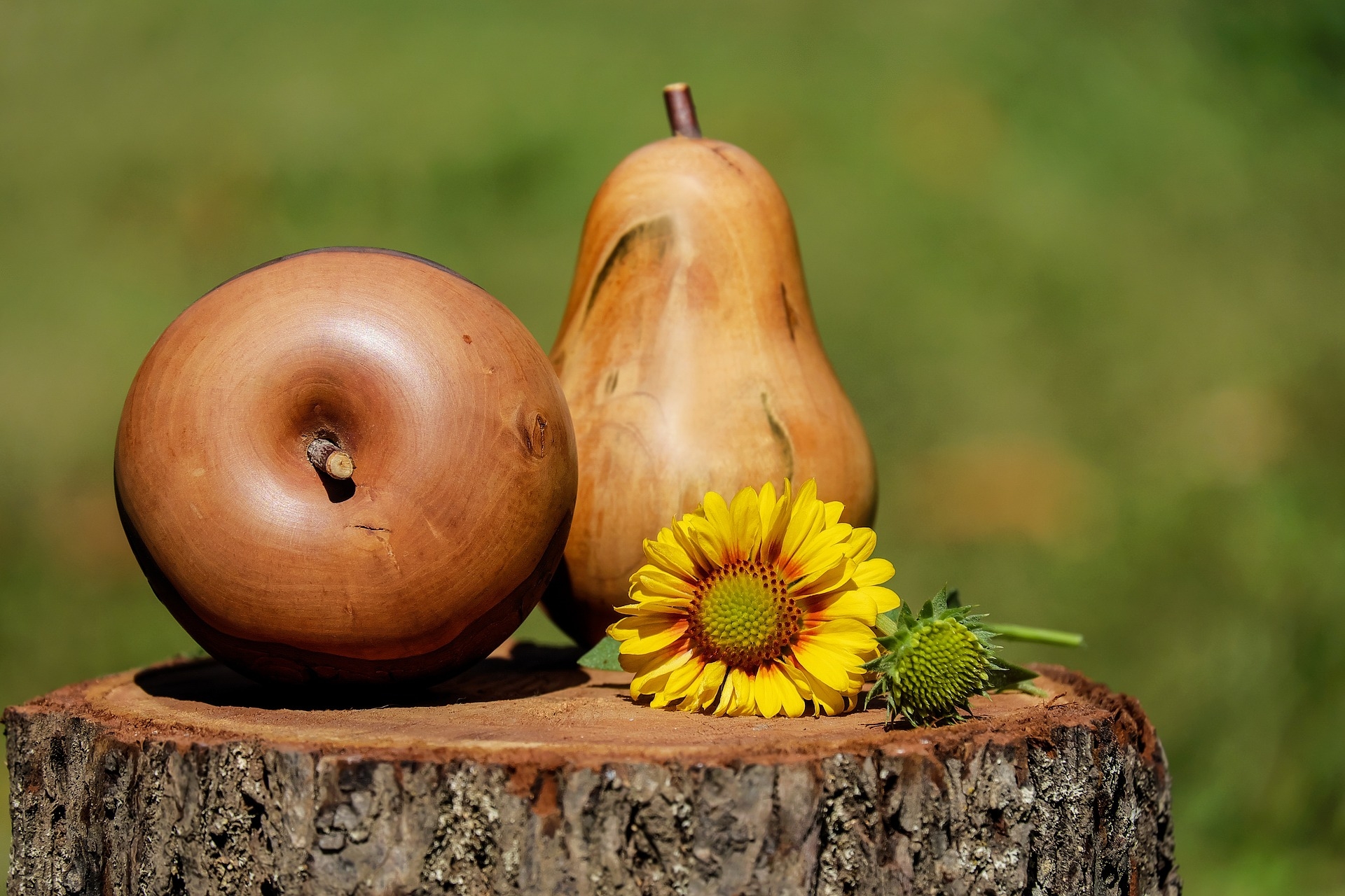 Wallpapers wallpaper apple sunflower wood on the desktop