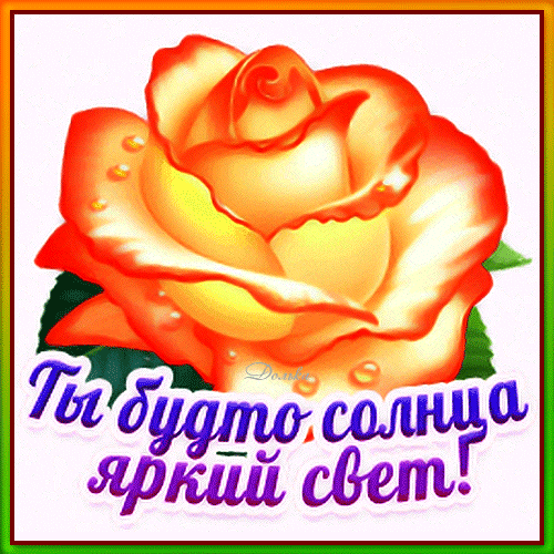 Открытка на тему комплименты тебе роза скачать бесплатно