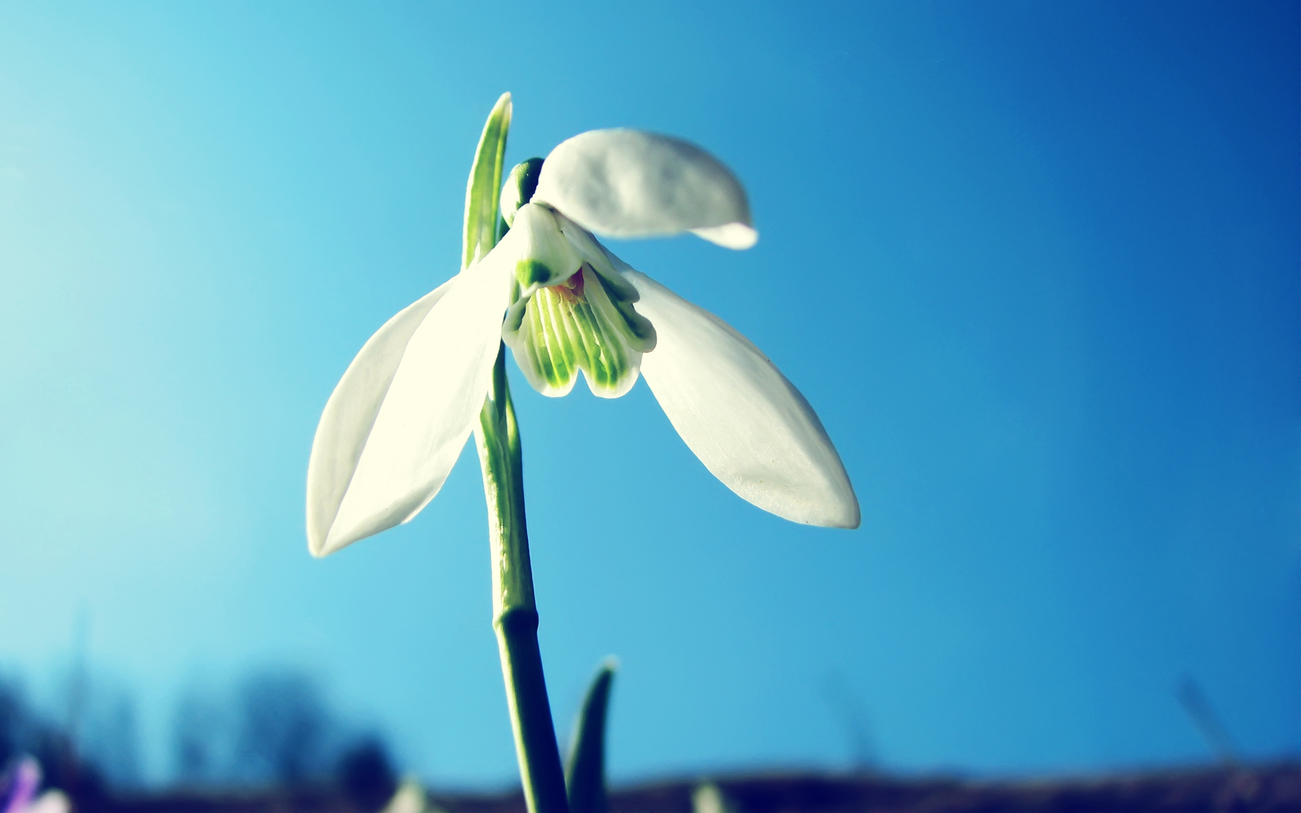 Wallpapers sunlight blue wind on the desktop