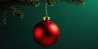 Красный ёлочный шар свисает с ветки ели.