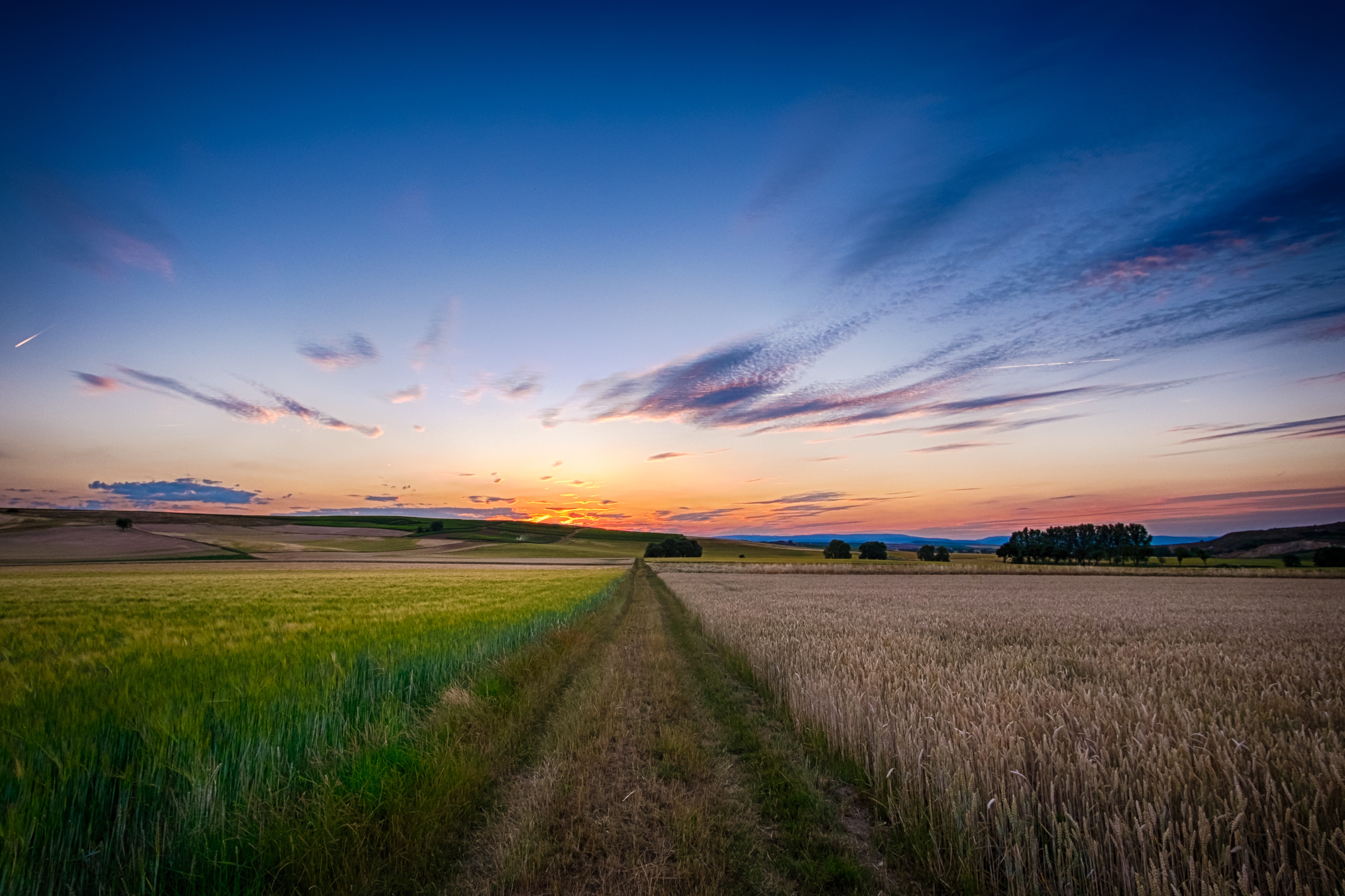 Free photo Field road into the sunset.