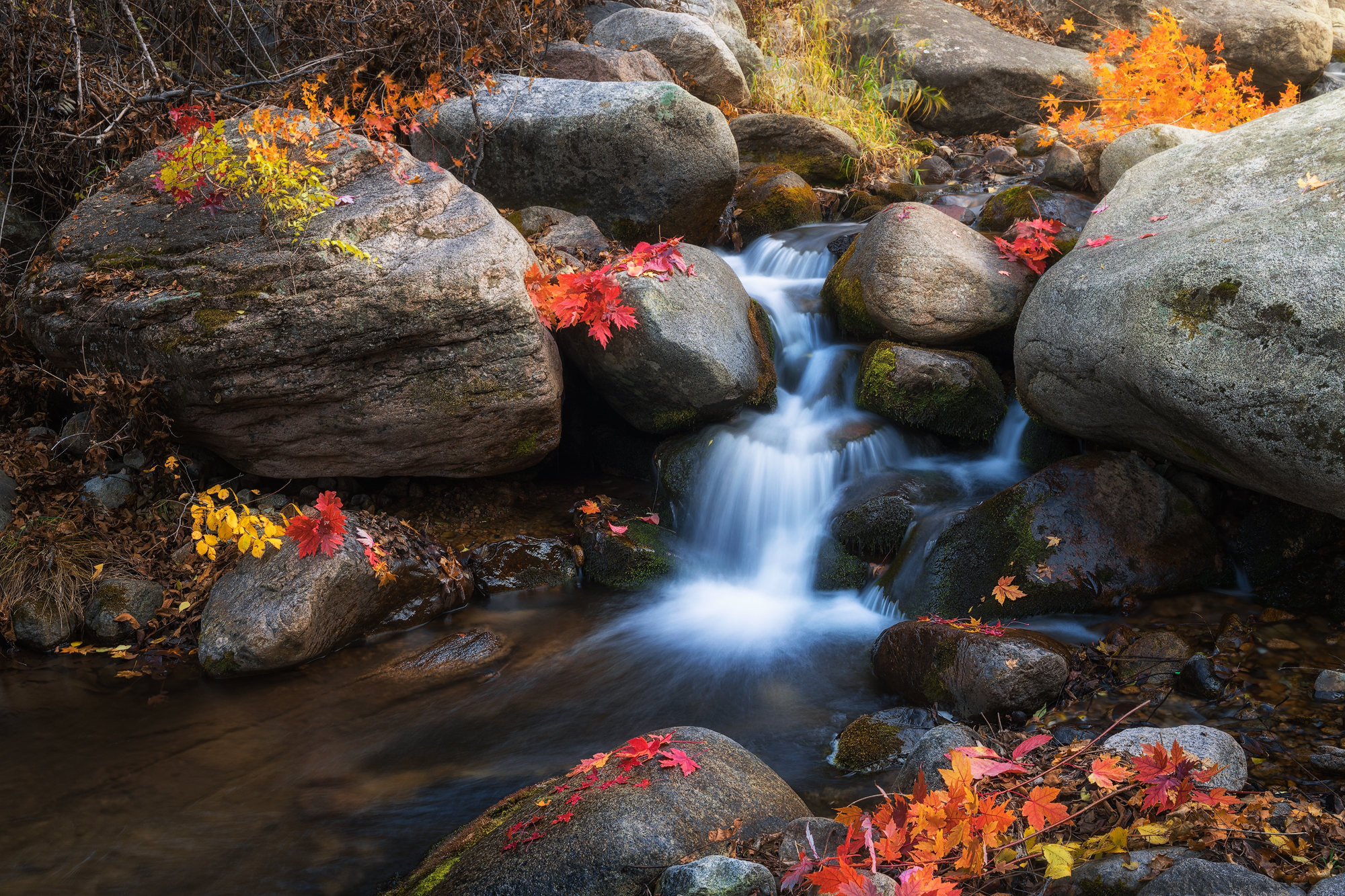 Free photo Pictures autumn, river, stream on phone