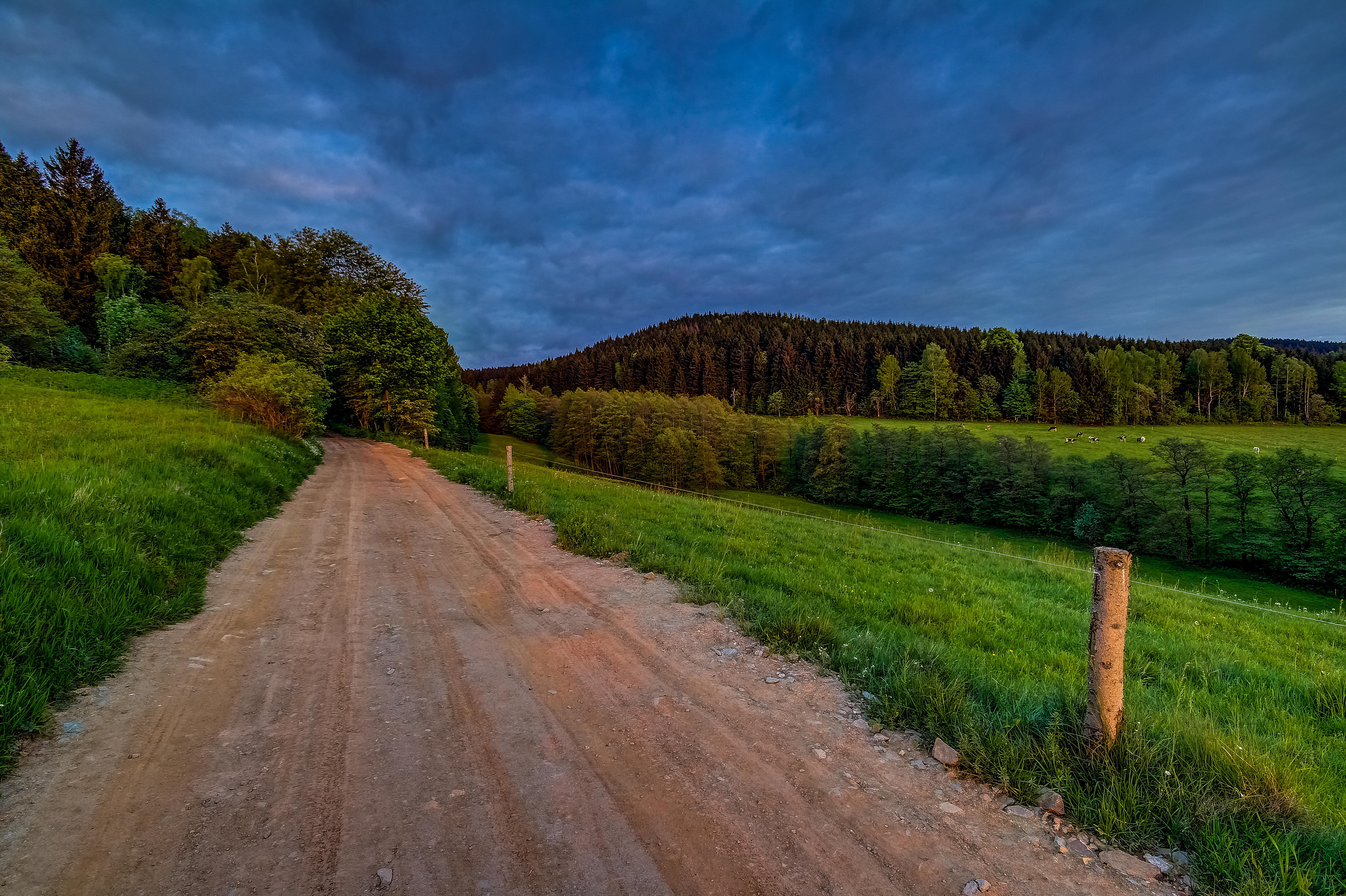 Wallpapers green grass landscapes trees on the desktop