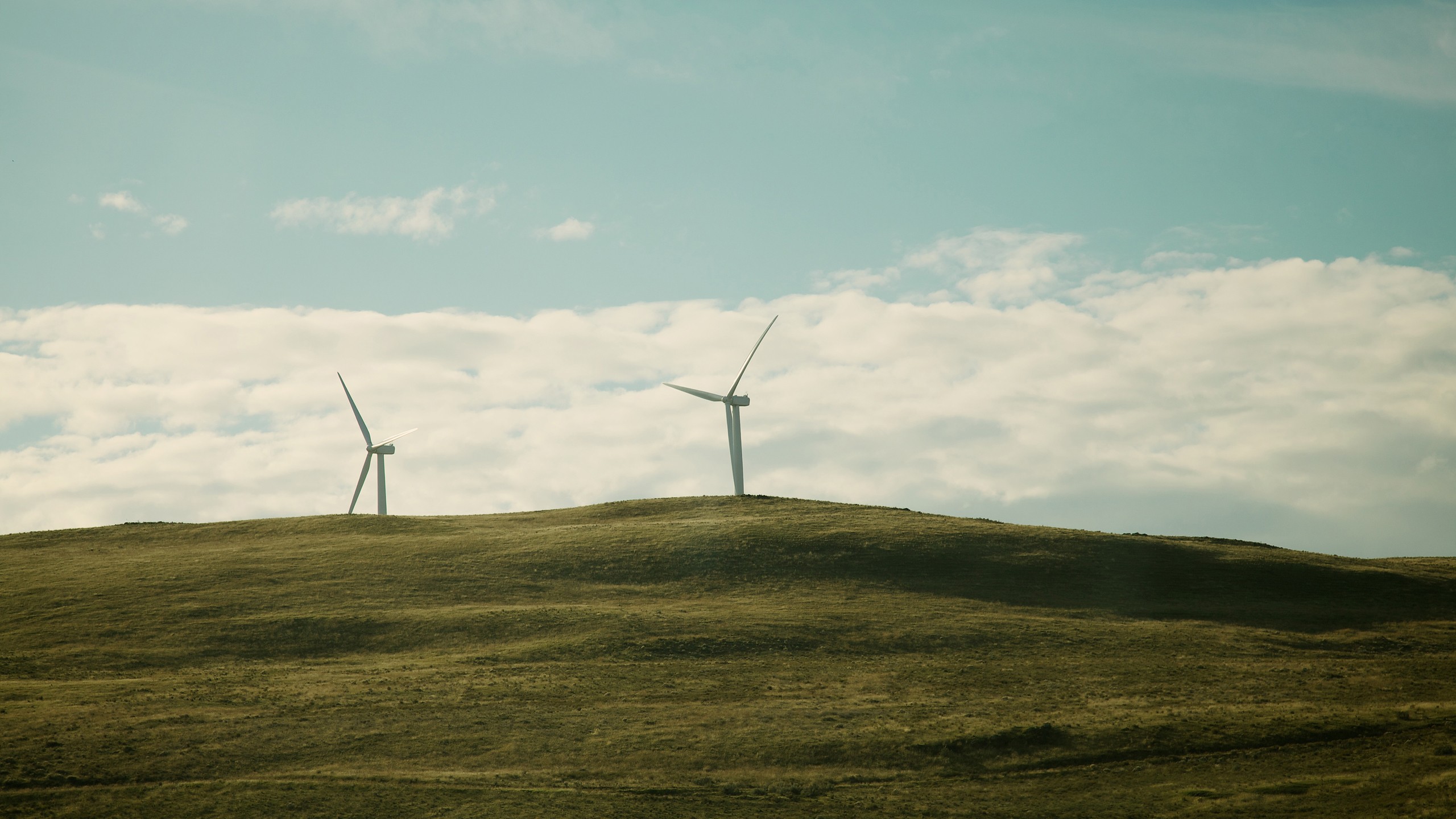 Wind turbines on the hill