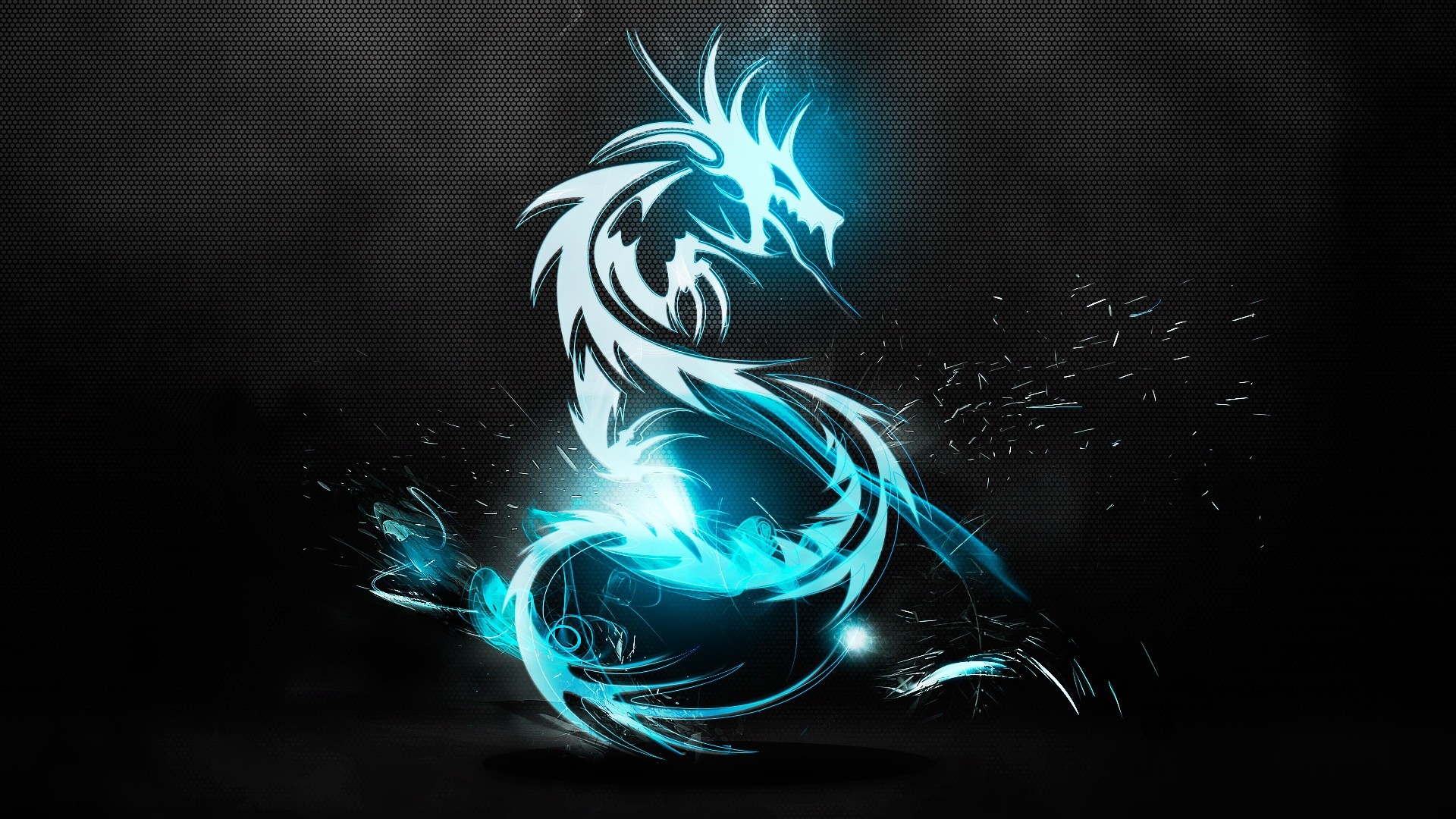 Wallpapers dragons rendering computer graphics on the desktop