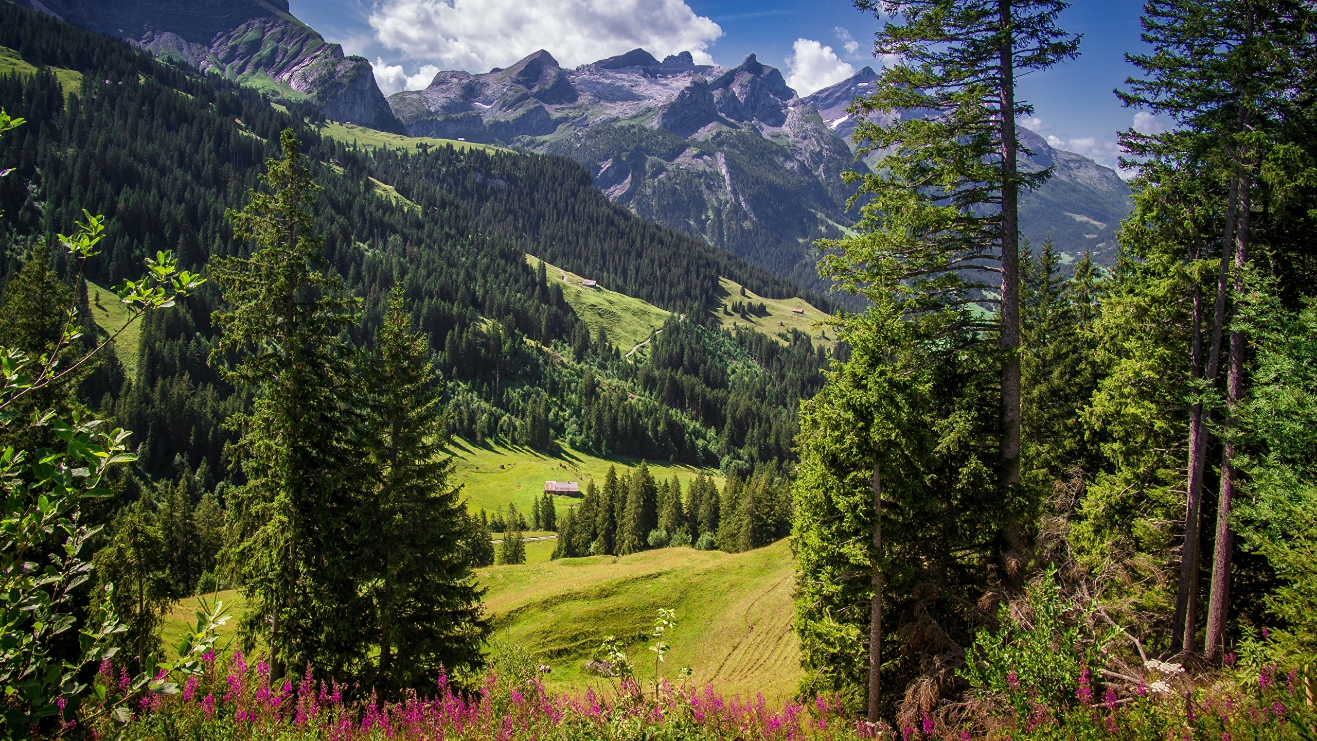Бесплатное фото Домик построенный у подножья гор в Швейцарии