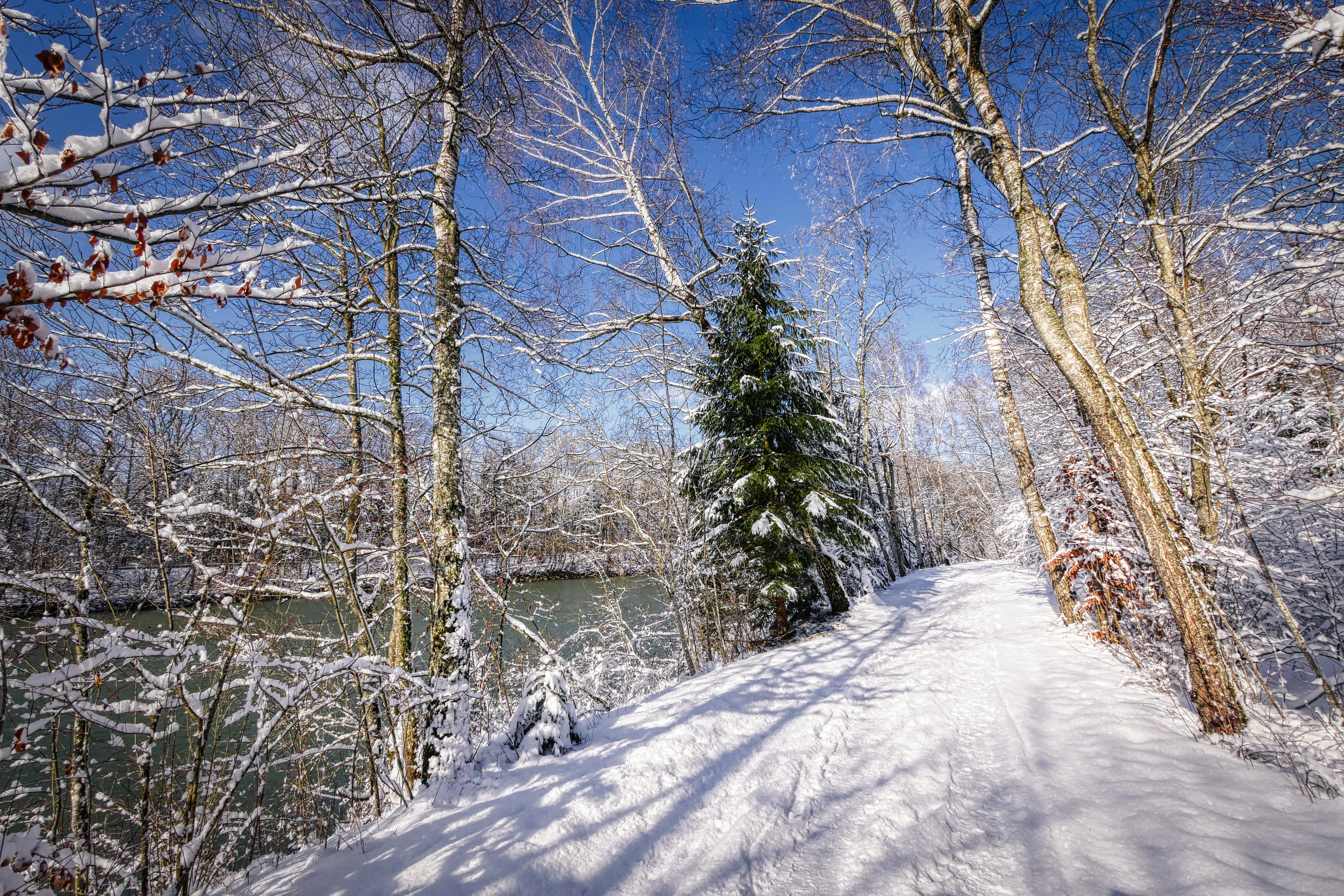 免费照片冬天的雪