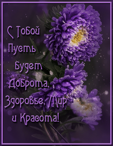 主题为动画 希望 紫花的明信片免费下载