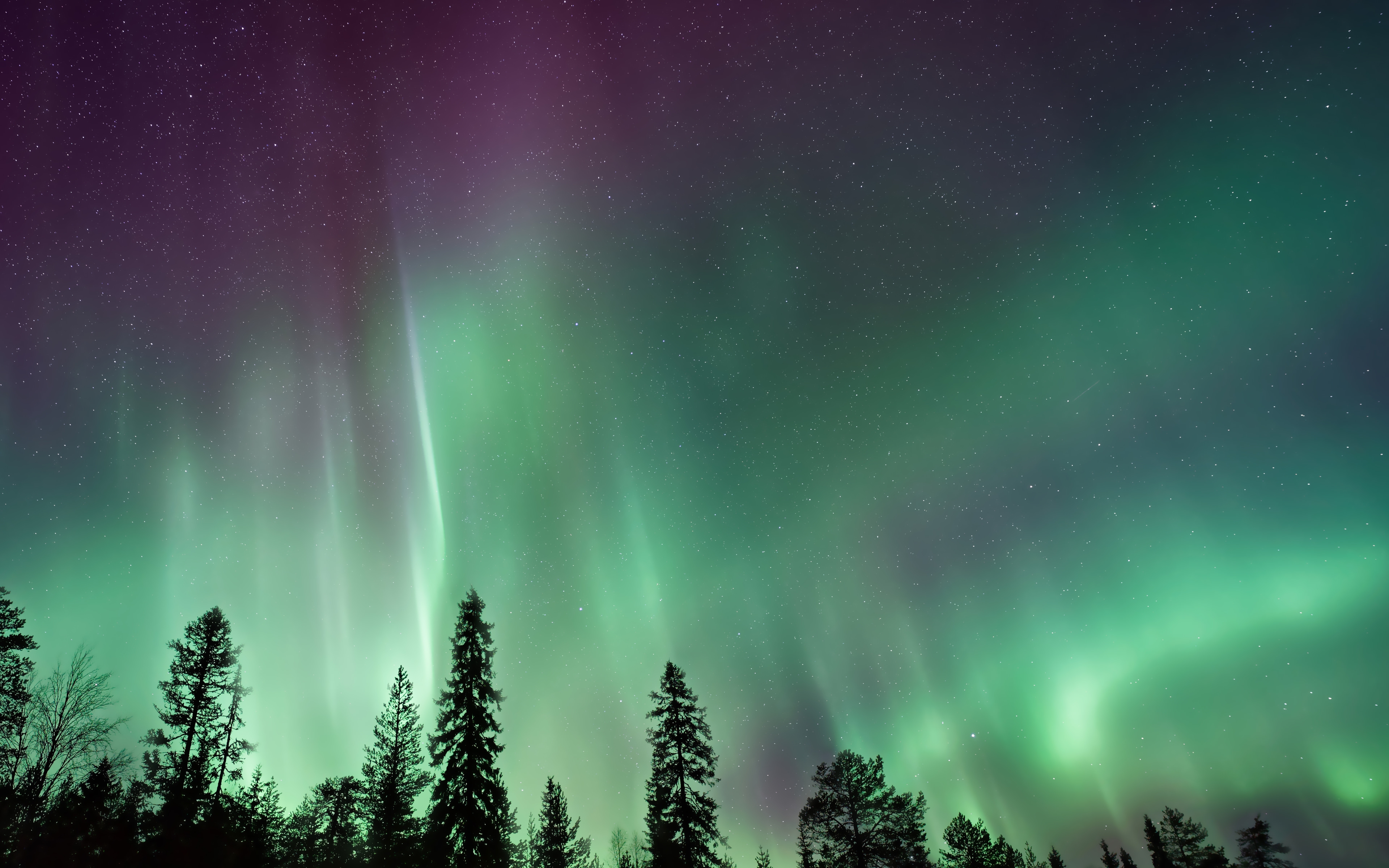 Wallpapers freen northern lights sky on the desktop