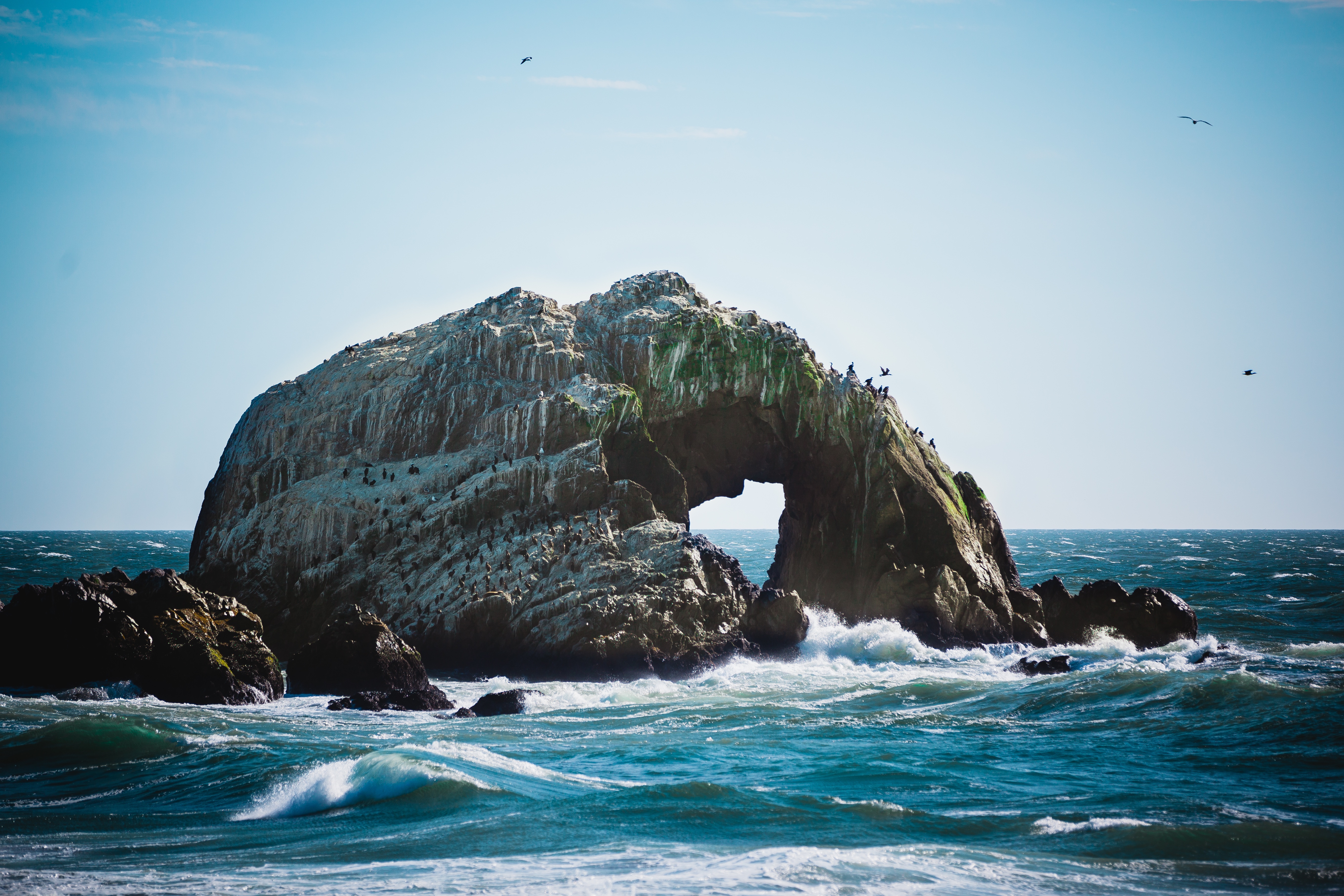 桌面上的壁纸海滩 海 海岸