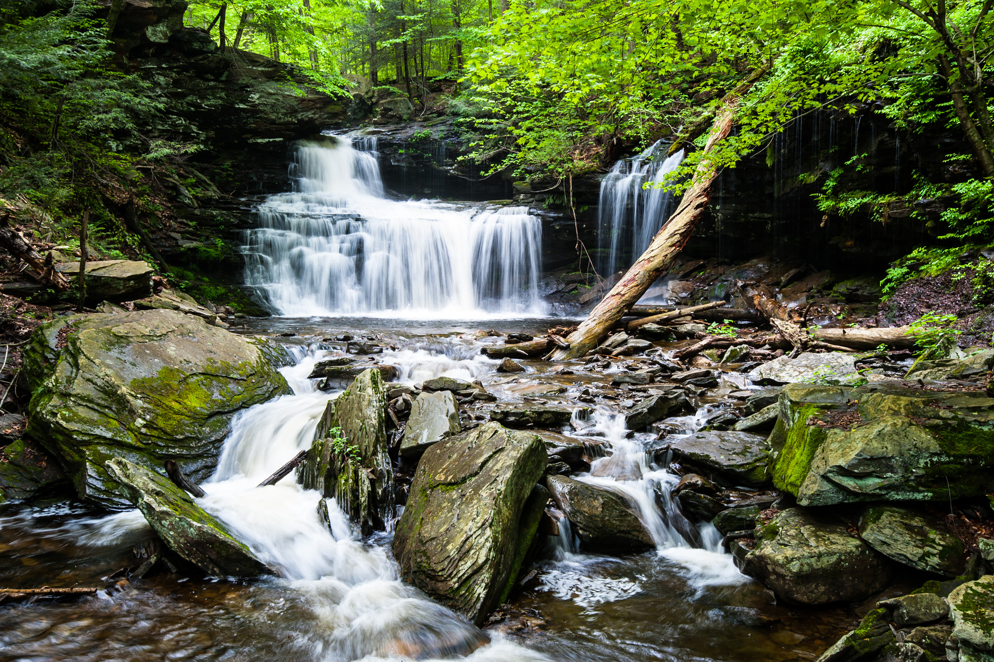 Free photo Beautiful creek