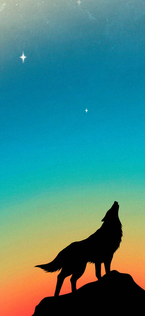 Бесплатное фото Силуэт волка на фоне цветного неба