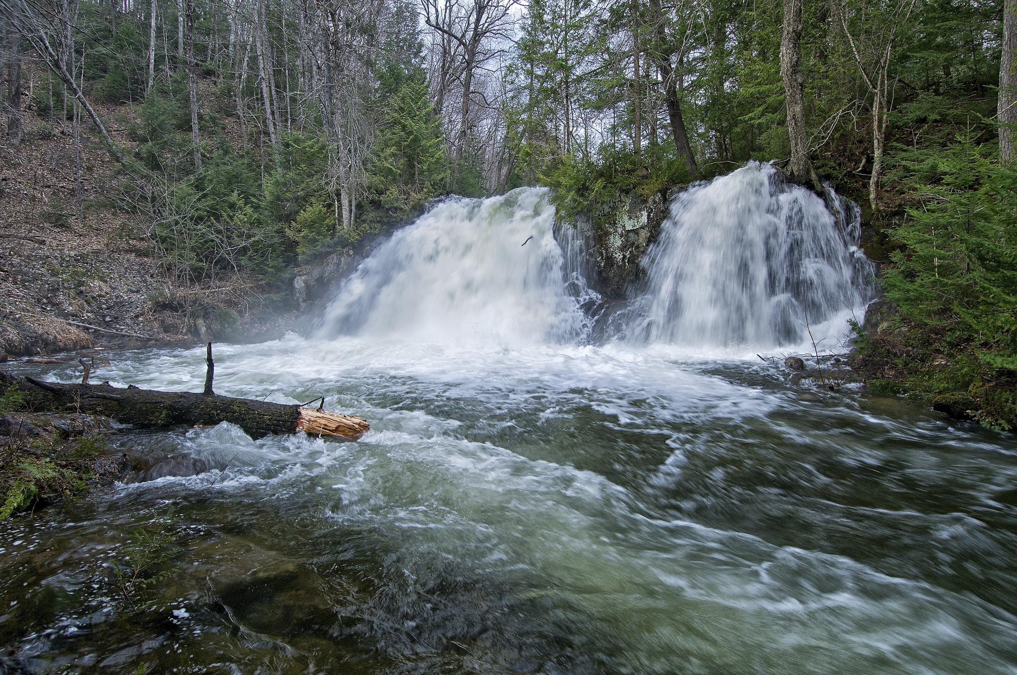 Wallpapers waterfall robertson creek falls trees on the desktop