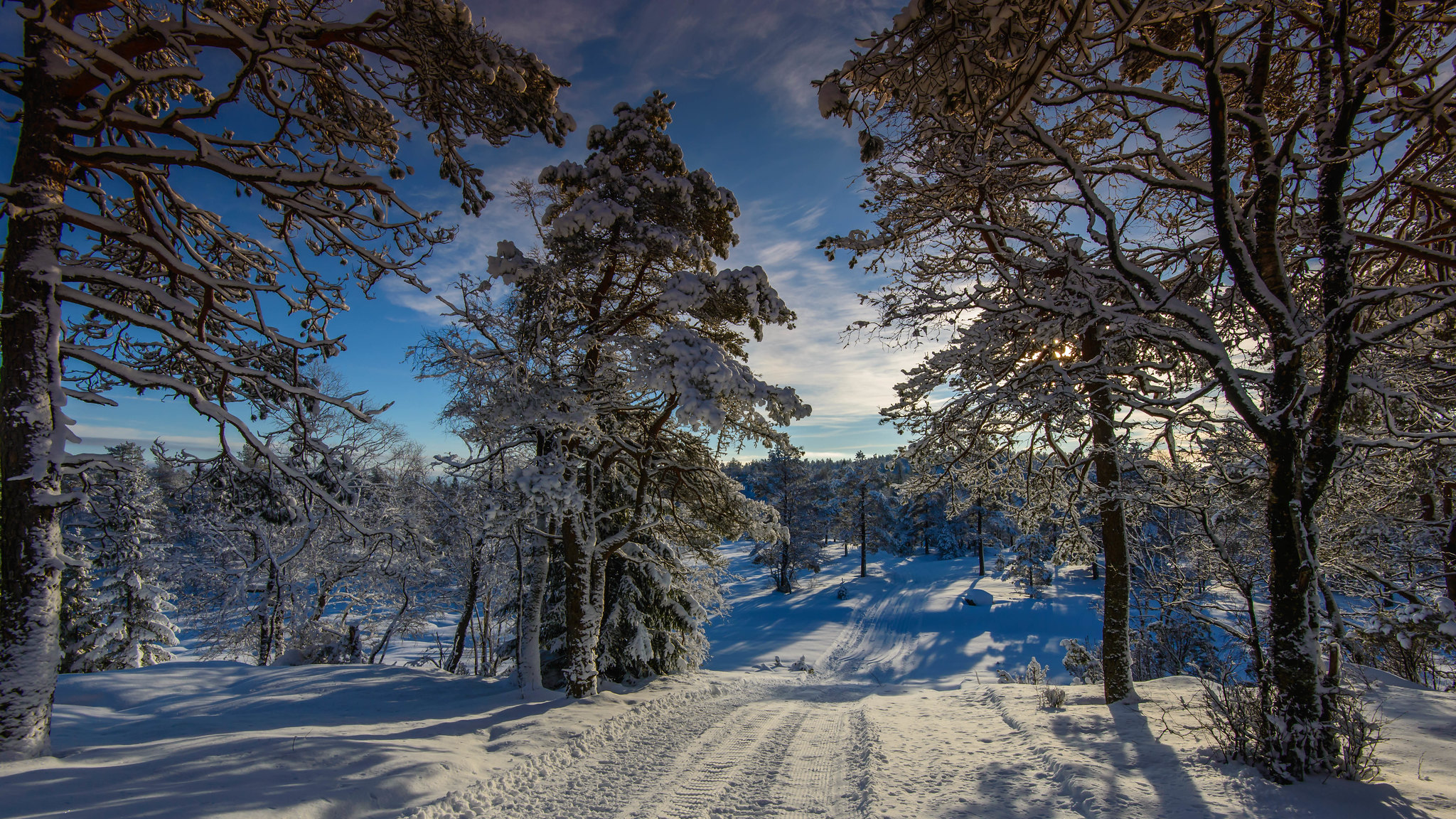 Wallpapers road winter road landscapes on the desktop